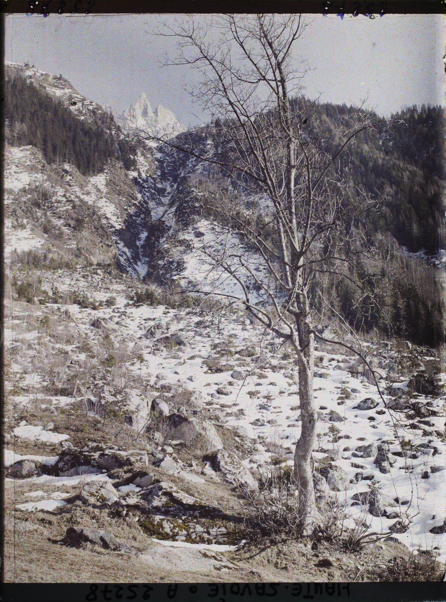 Image représentant Vallée de Chamonix, Le Couloir d'avalanches de l'Aiguille de Charmoz