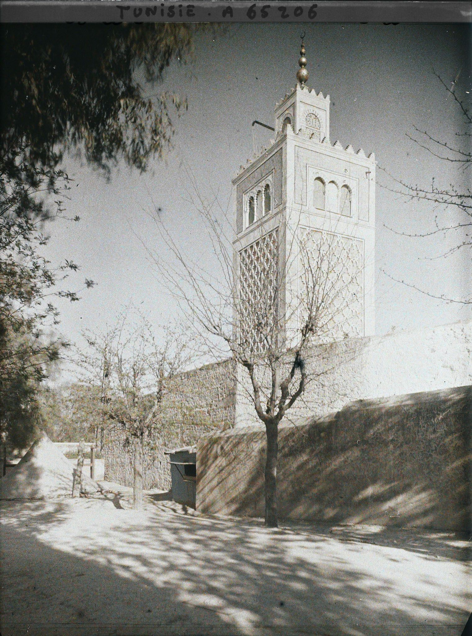Image représentant Le mur d'enceinte nord et le minaret de la mosquée de la casbah