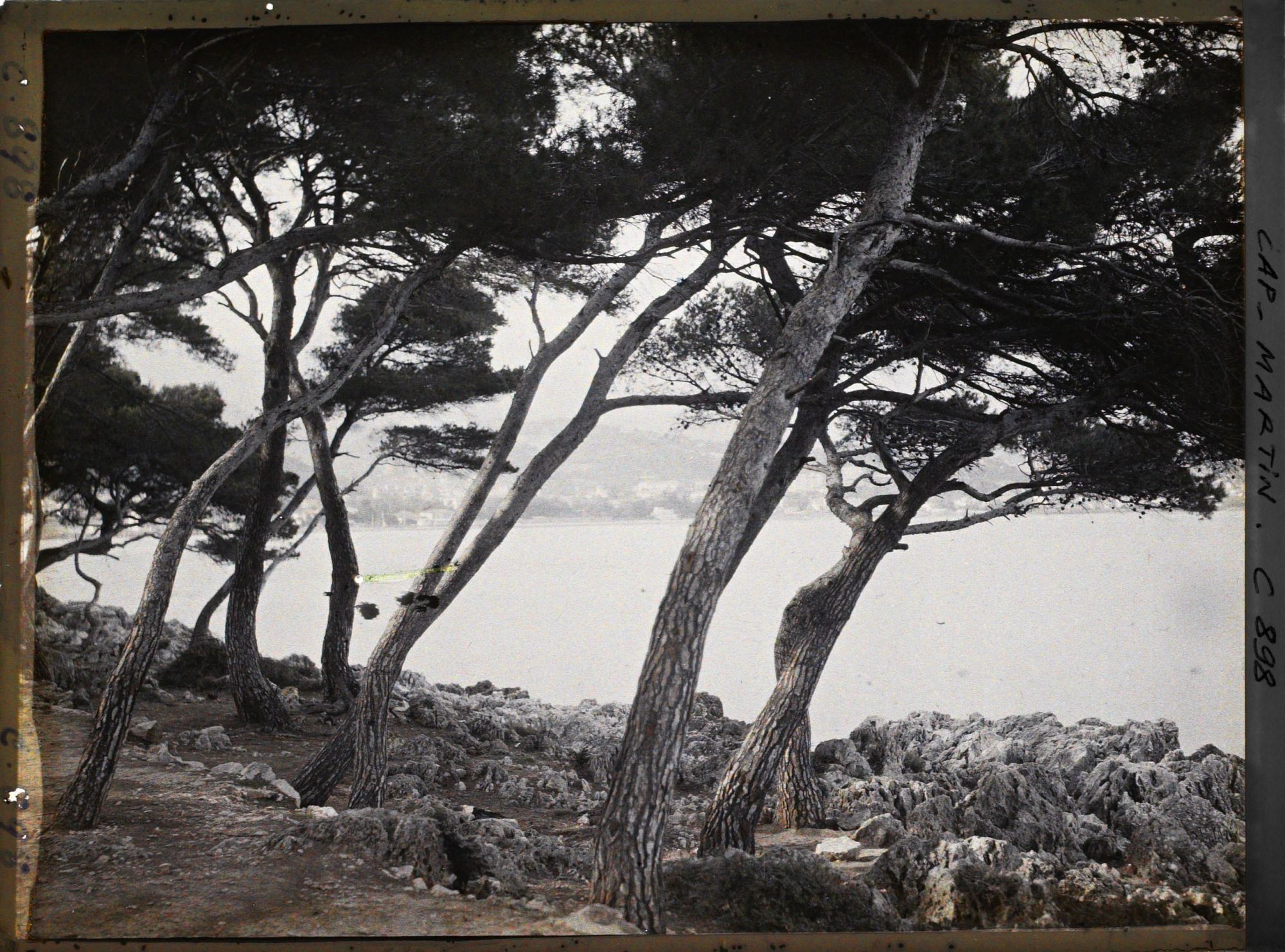 Image représentant Rte du Cap à Menton,-bords de mer