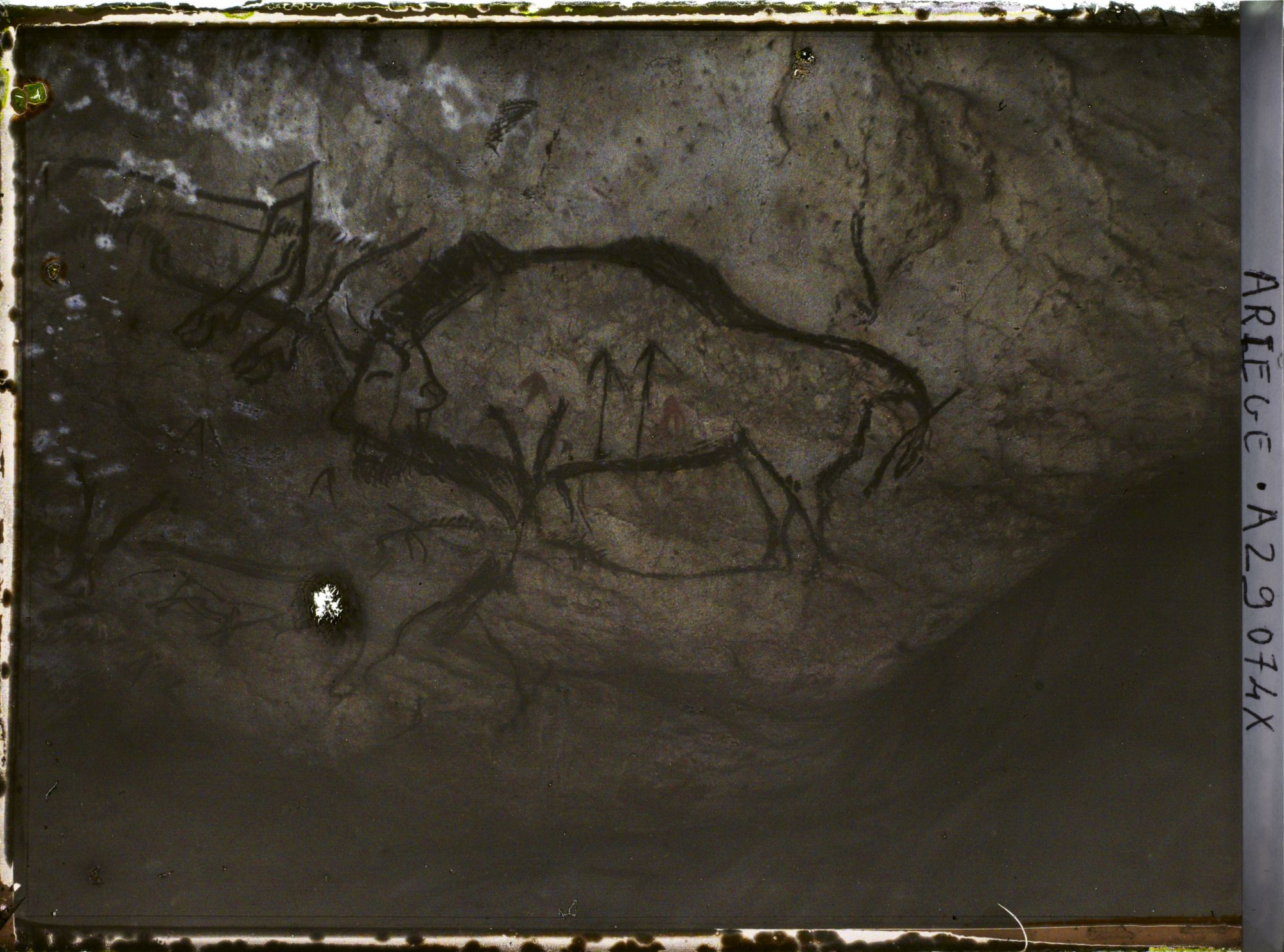 Image représentant Grotte de Niaux : le bison avec le signe rouge