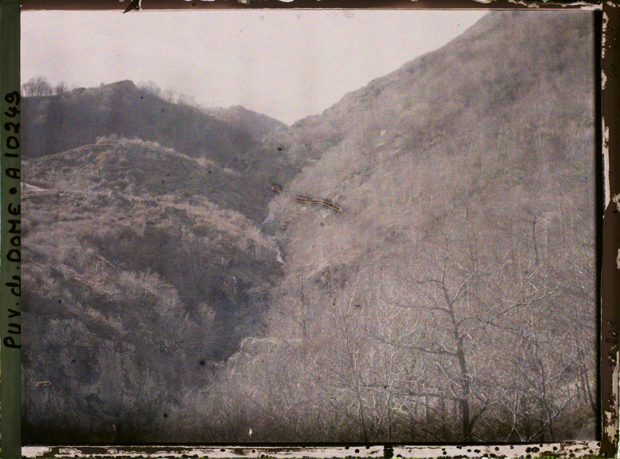 Image représentant France, Vallée de Rentières