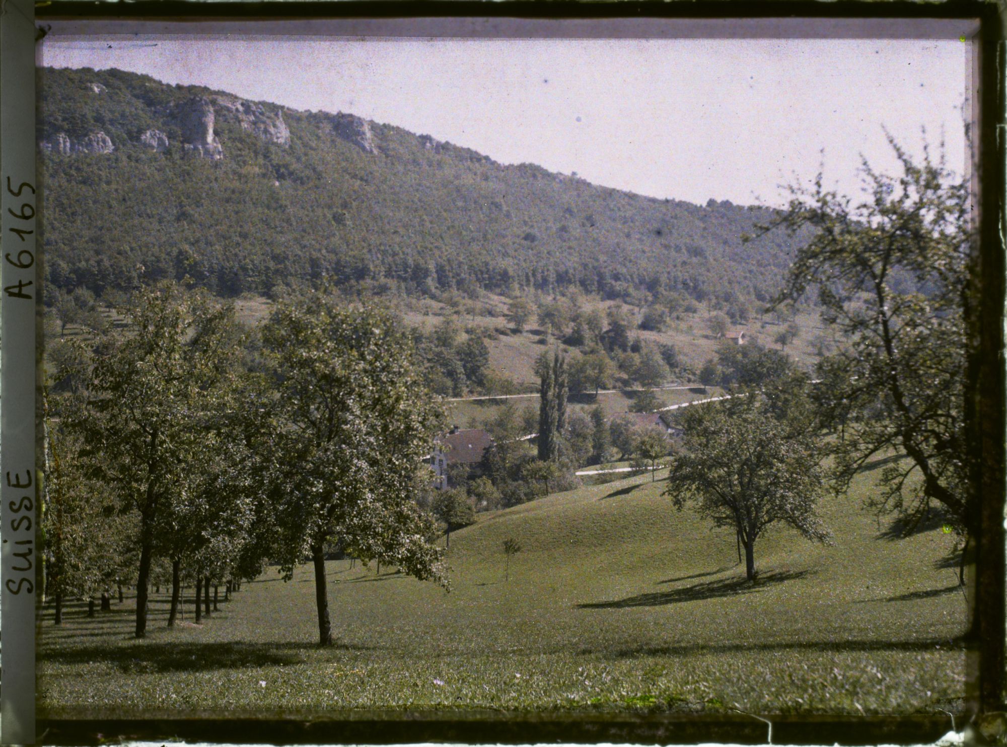 Image représentant Paysage entre Hofstetten-Flüh et Metzerlen-Mariastein