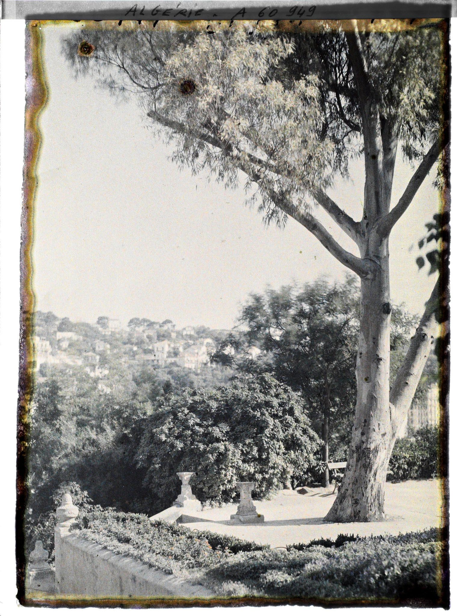 Image représentant Vue du parc de Galland