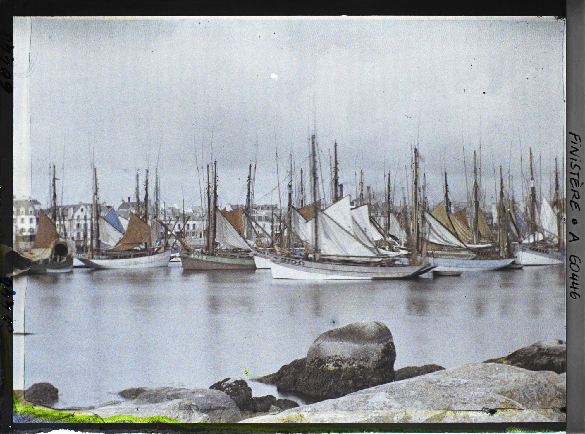 Image représentant Des thoniers dans le port