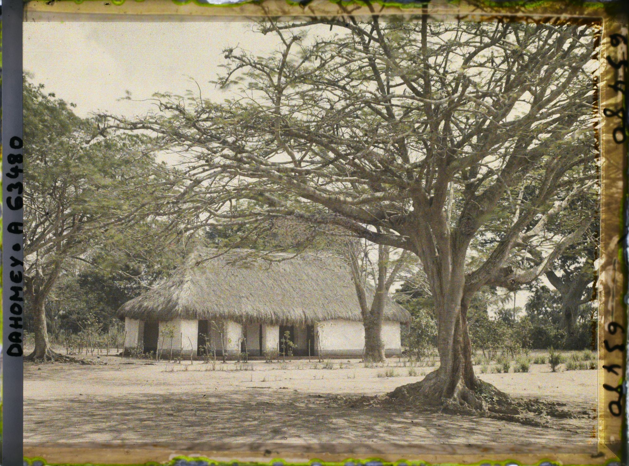 Image représentant Le tribunal indigène ?