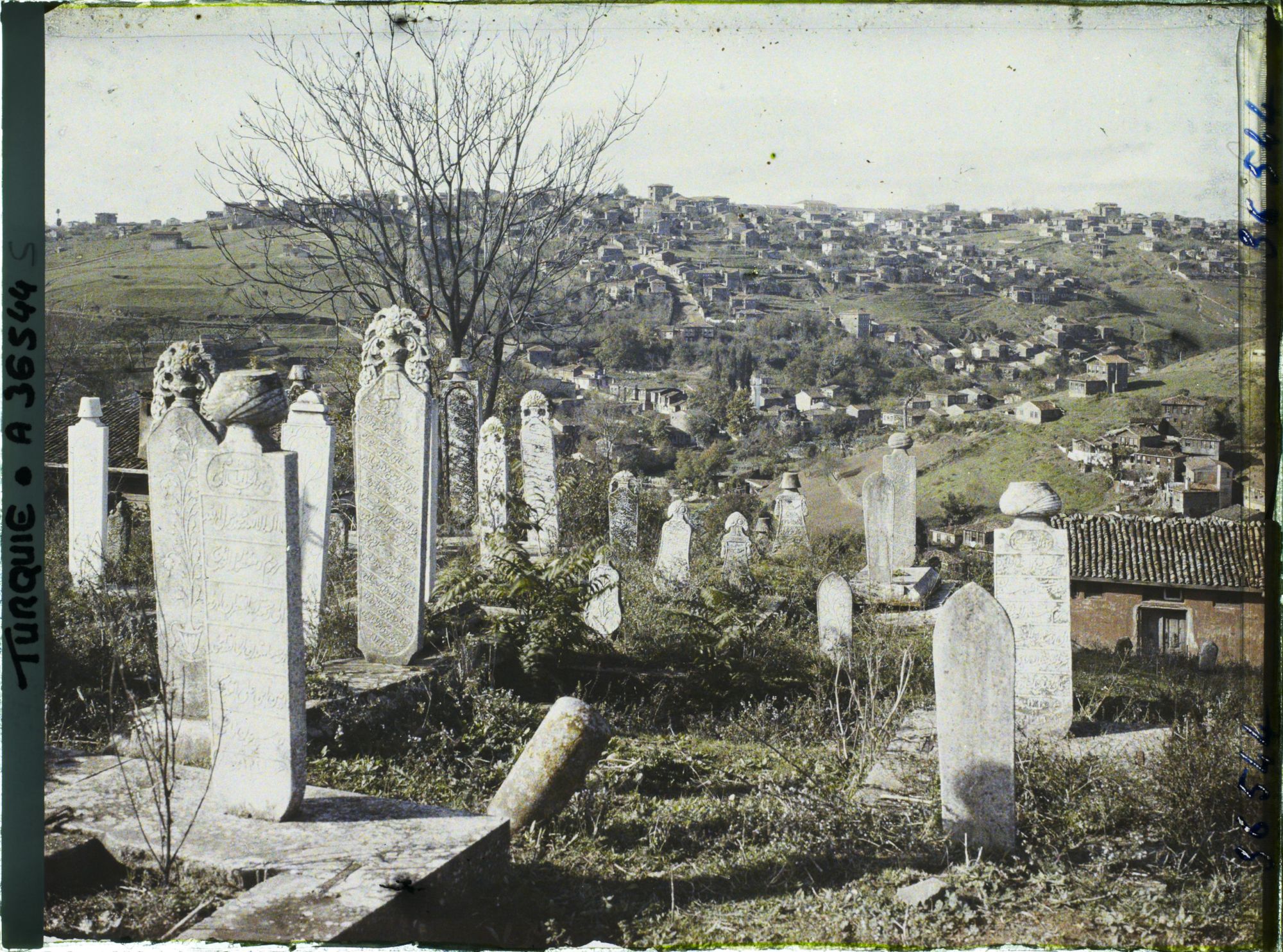 Image représentant Turquie, Constantinople- Eyoub, Petit Village d'Eyoub et tombes du Cimetière