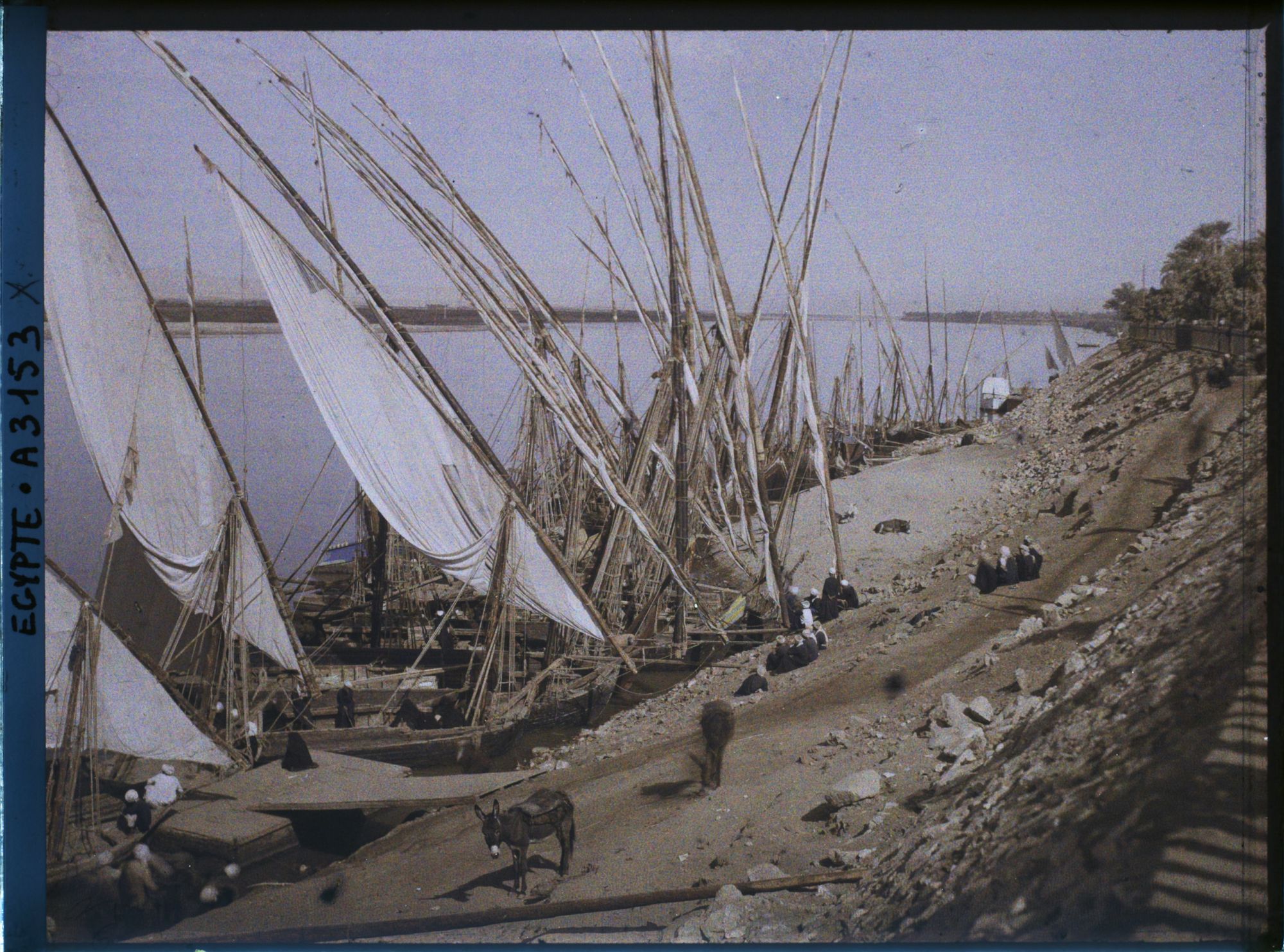 Image représentant Bords du Nil