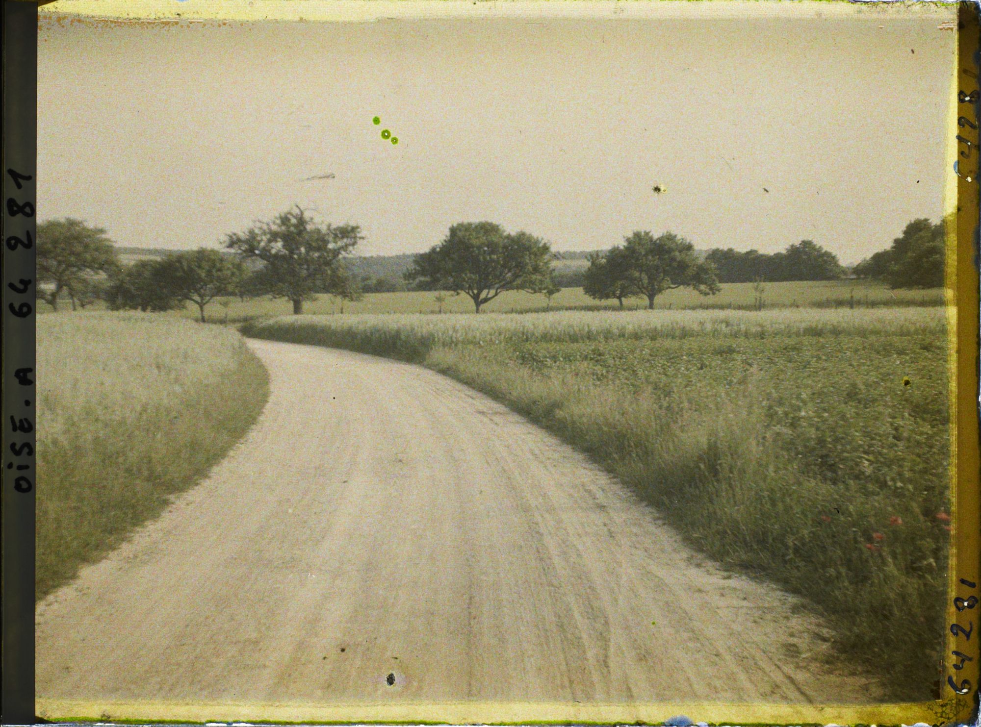 Image représentant Ile de France, Autriches, Champs d'avoine bordant la route de Trie-Château