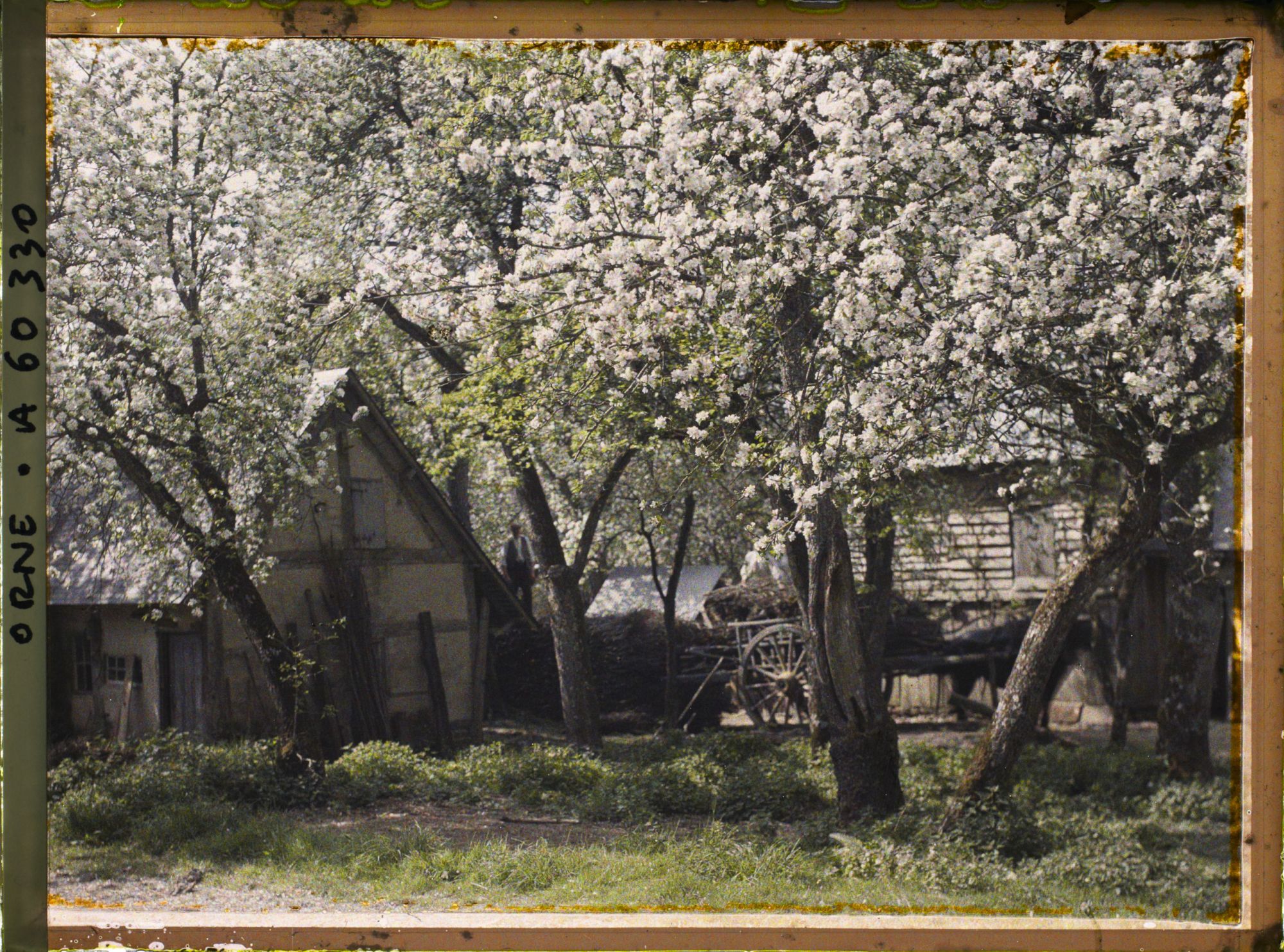 Image représentant Lieu-dit la Héronnière