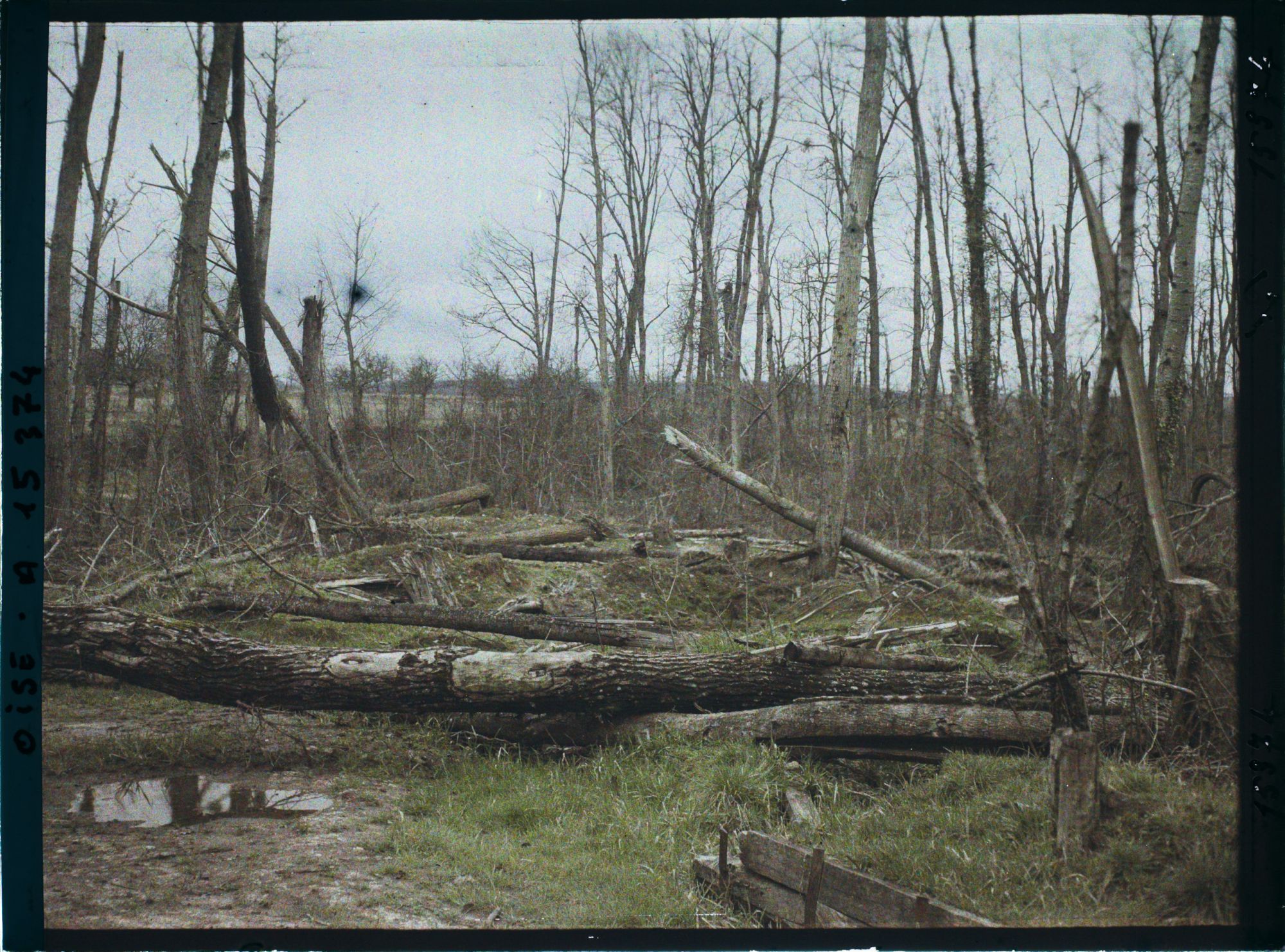 Image représentant France, Thiescourt, Guerre : Paysage de la fontaine du Loup, point très marécageux de la vallée de Thiescourt et où
