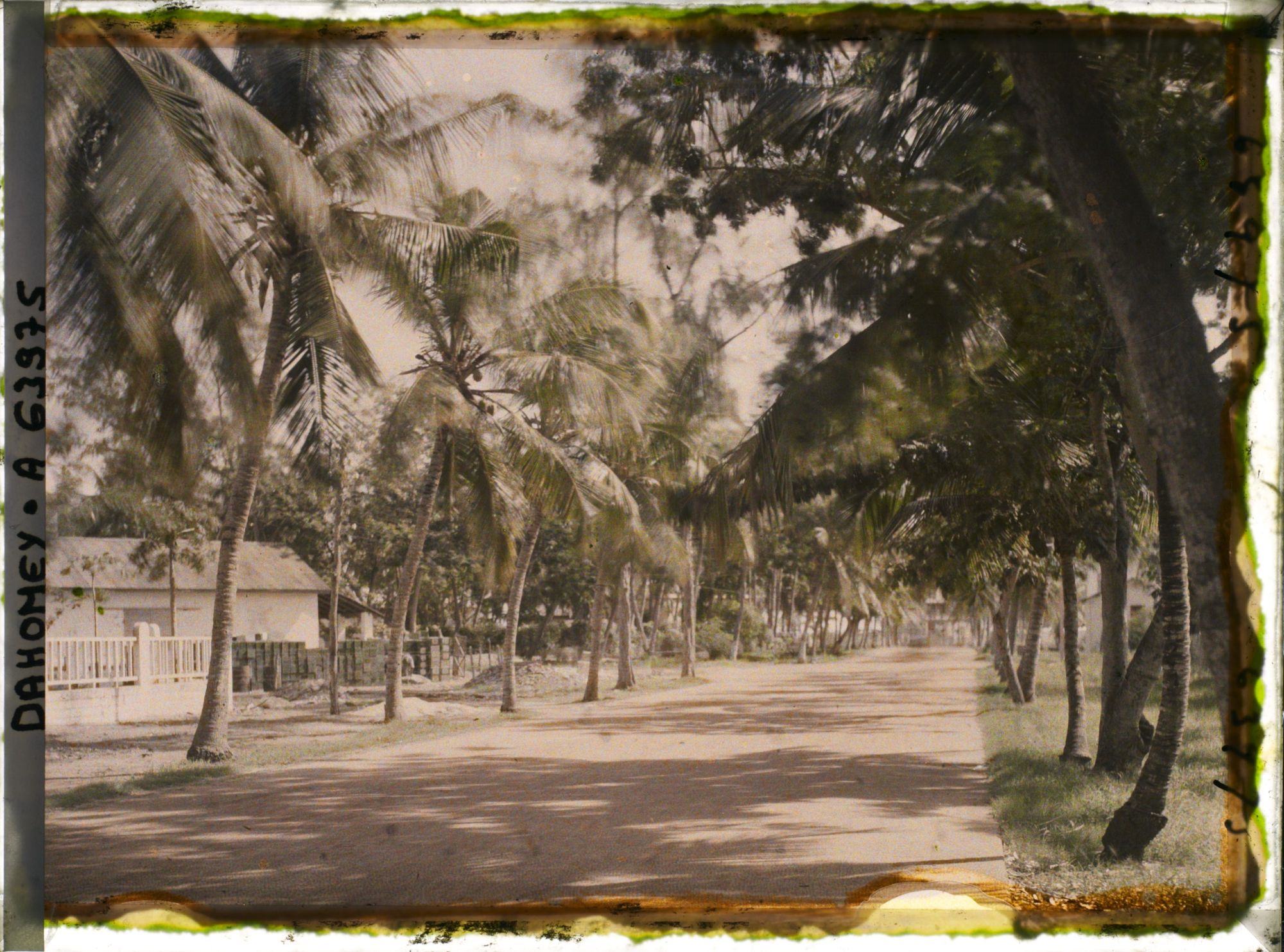 Image représentant L'avenue de la Douane, dans le quartier européen