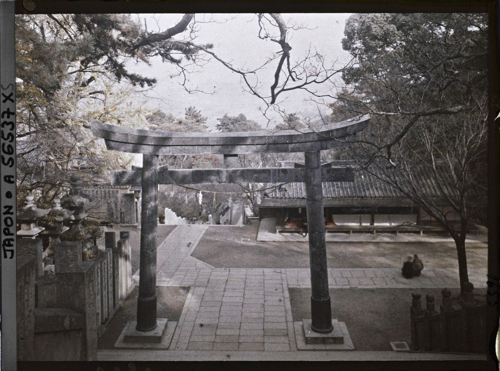 Image représentant Sanctuaire Kotohira-gu (ou Konpira-san) : torii