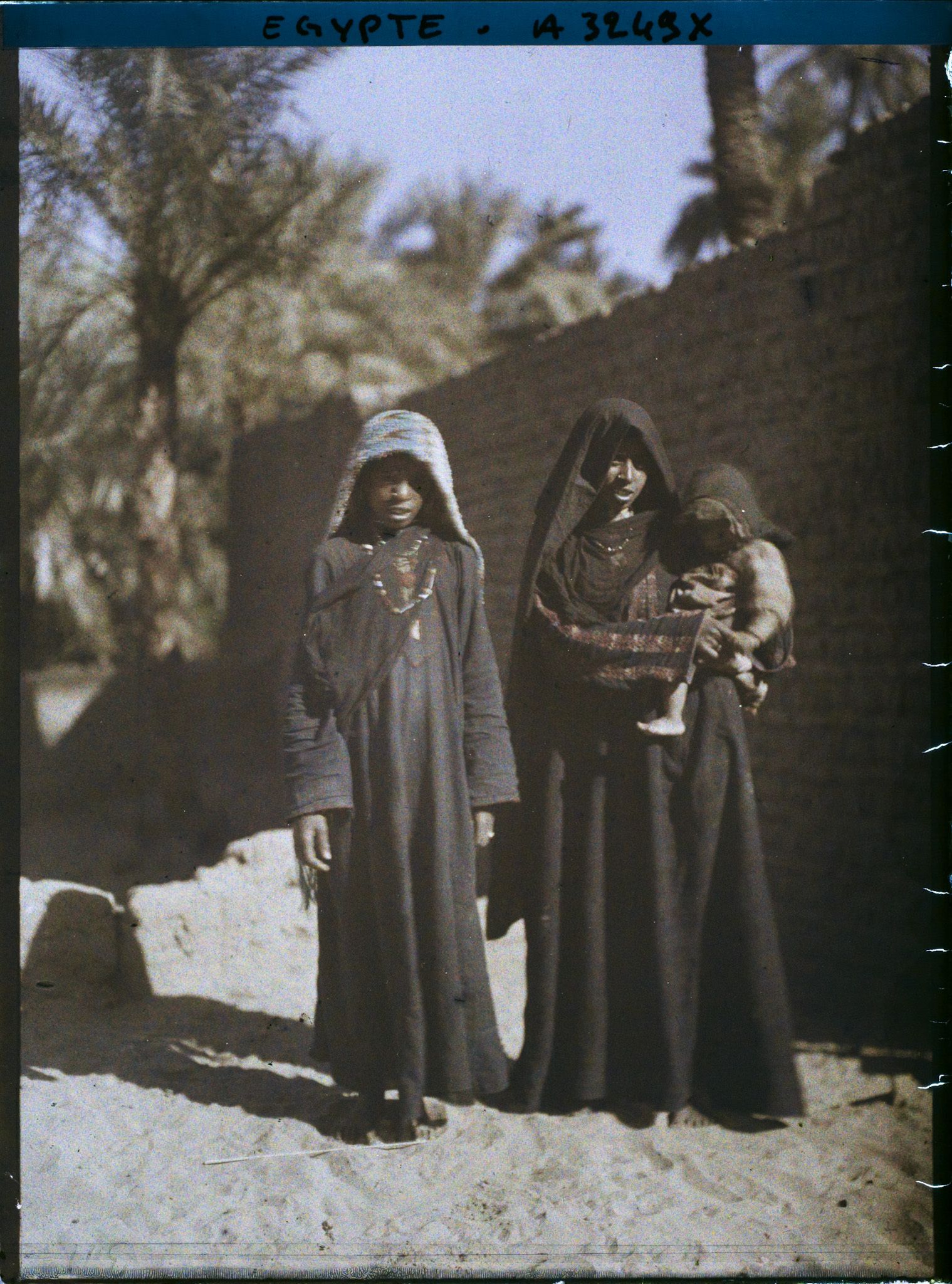 Image représentant Femmes d'Assouan