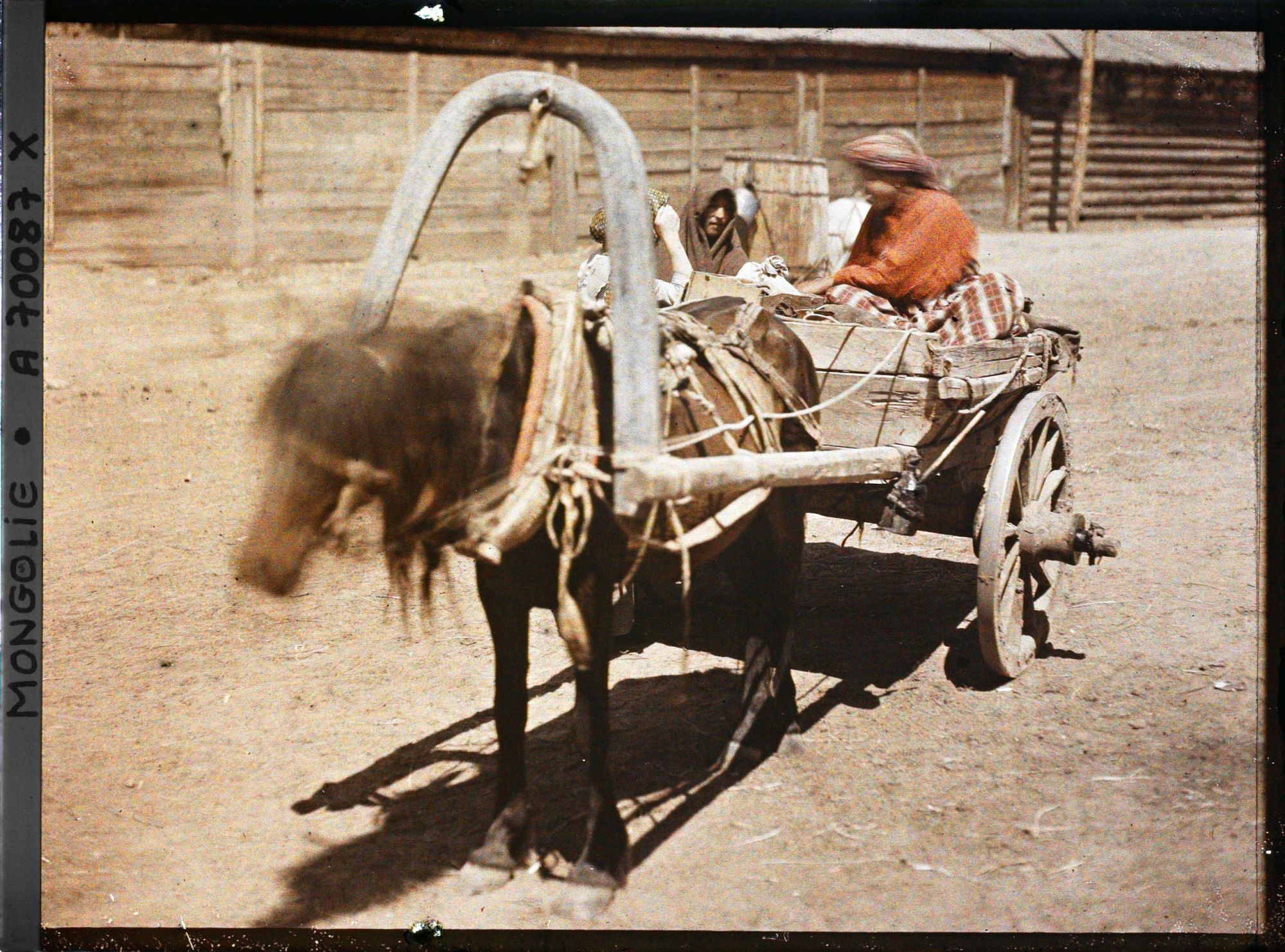 Image représentant Une paysanne conduisant une charrette