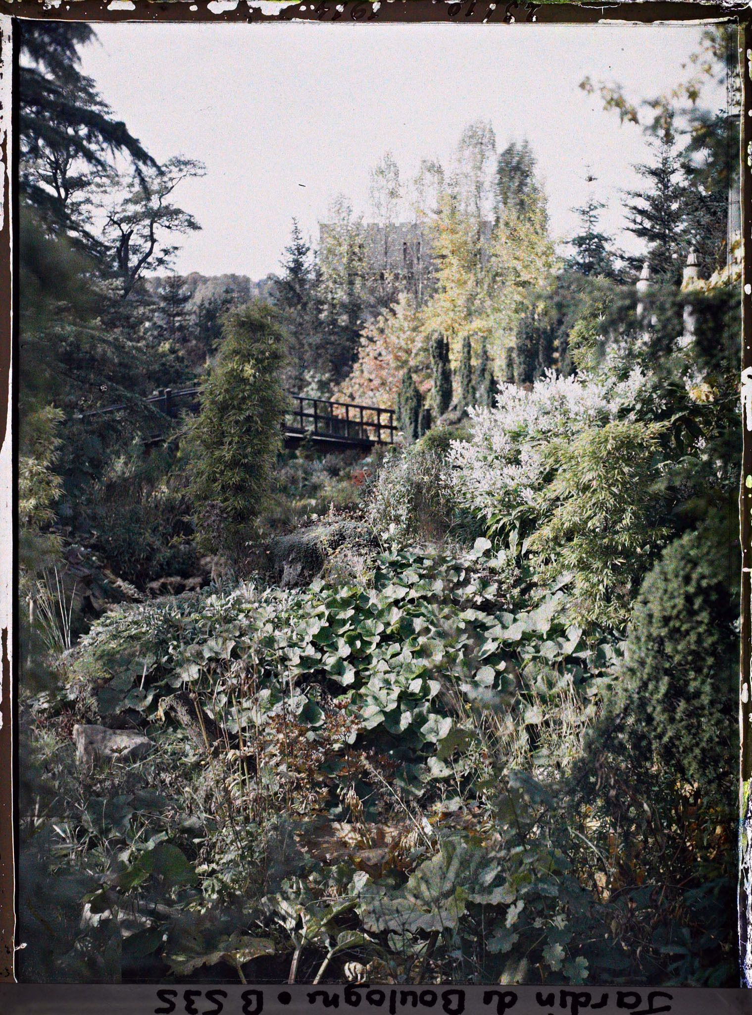 Image représentant Coulée de verdure et pont du " sanctuaire japonais " situés à gauche d'un chemin menant au sôrintô