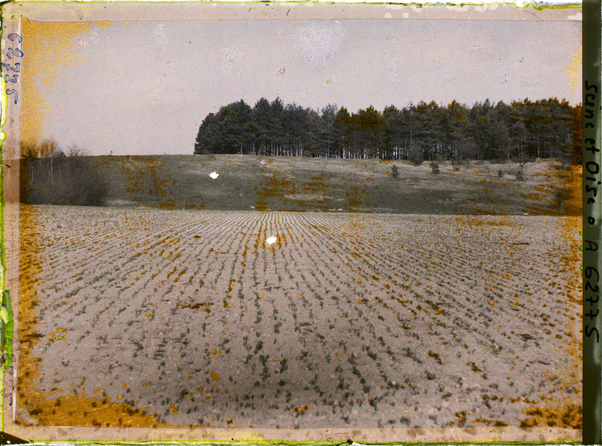 Image représentant Ile de France, Vallangoujard, Champs de pois