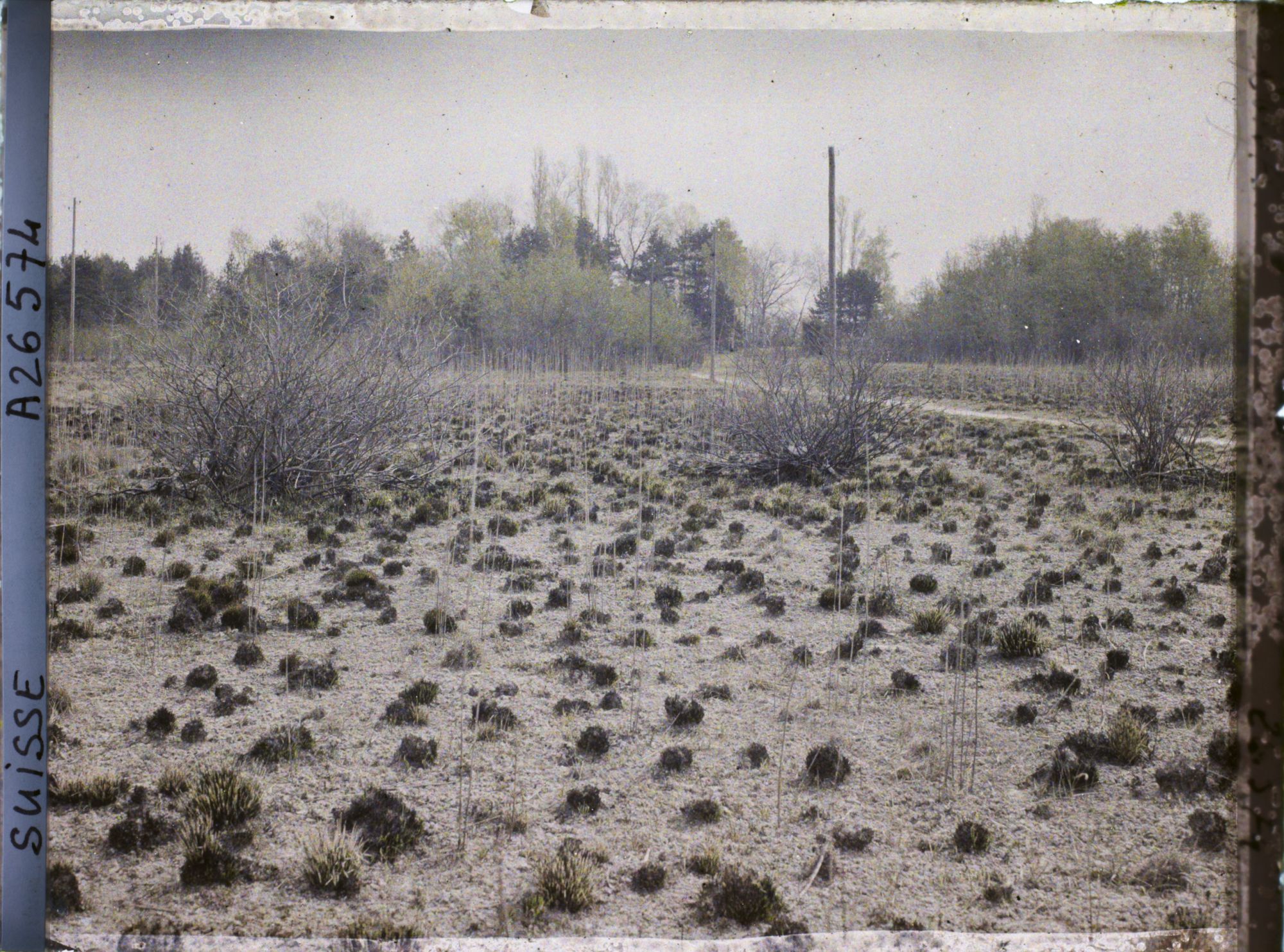 Image représentant L'île des lapins, voisine de l'île Saint-Pierre