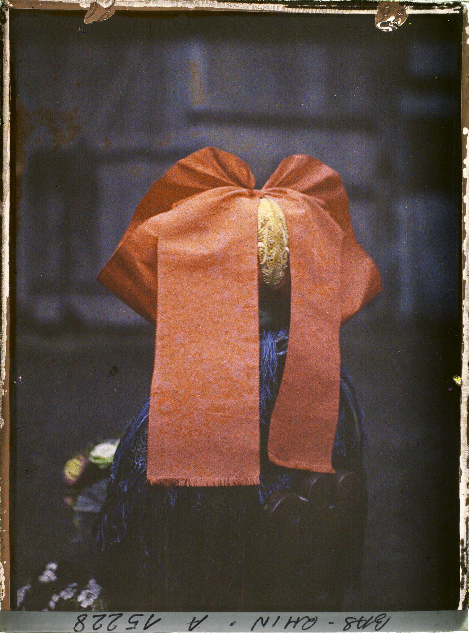 Image représentant Le Nœud, vu de dos