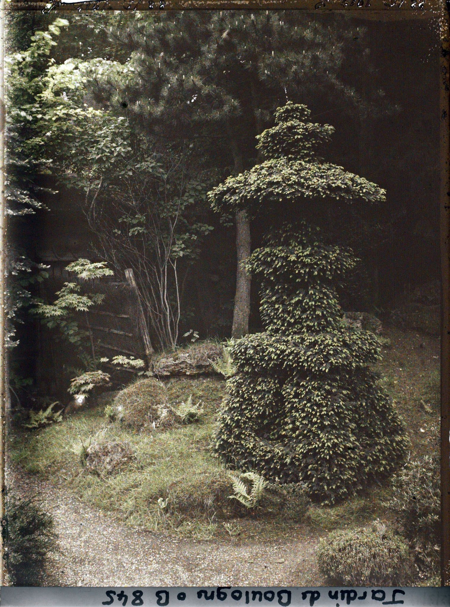 Image représentant Lanterne végétale sur fond de verdure, proche de la maison ouest du " village japonais