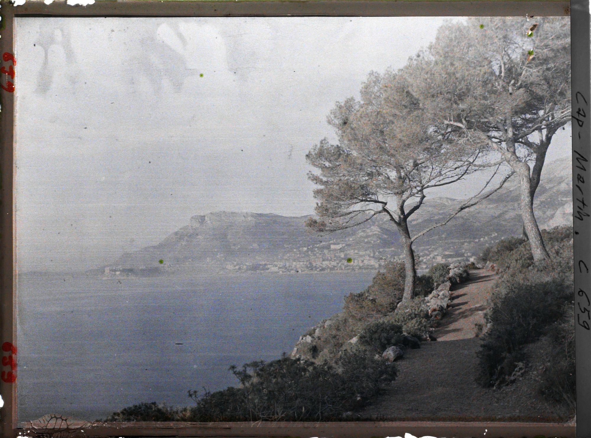 Image représentant Vue de Monte Carlo depuis les jardins du Cap Martin