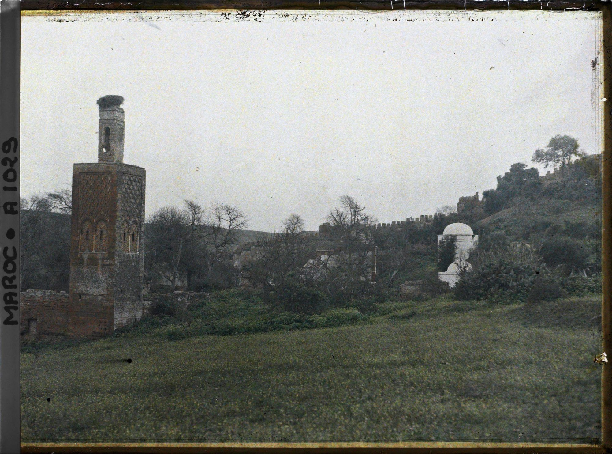 Image représentant Le Chellah