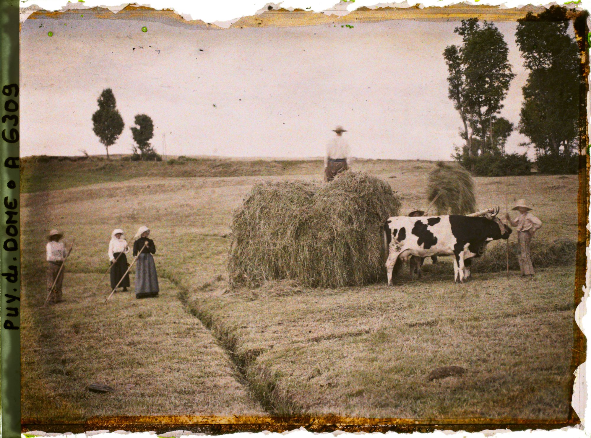 Image représentant Fenaisons