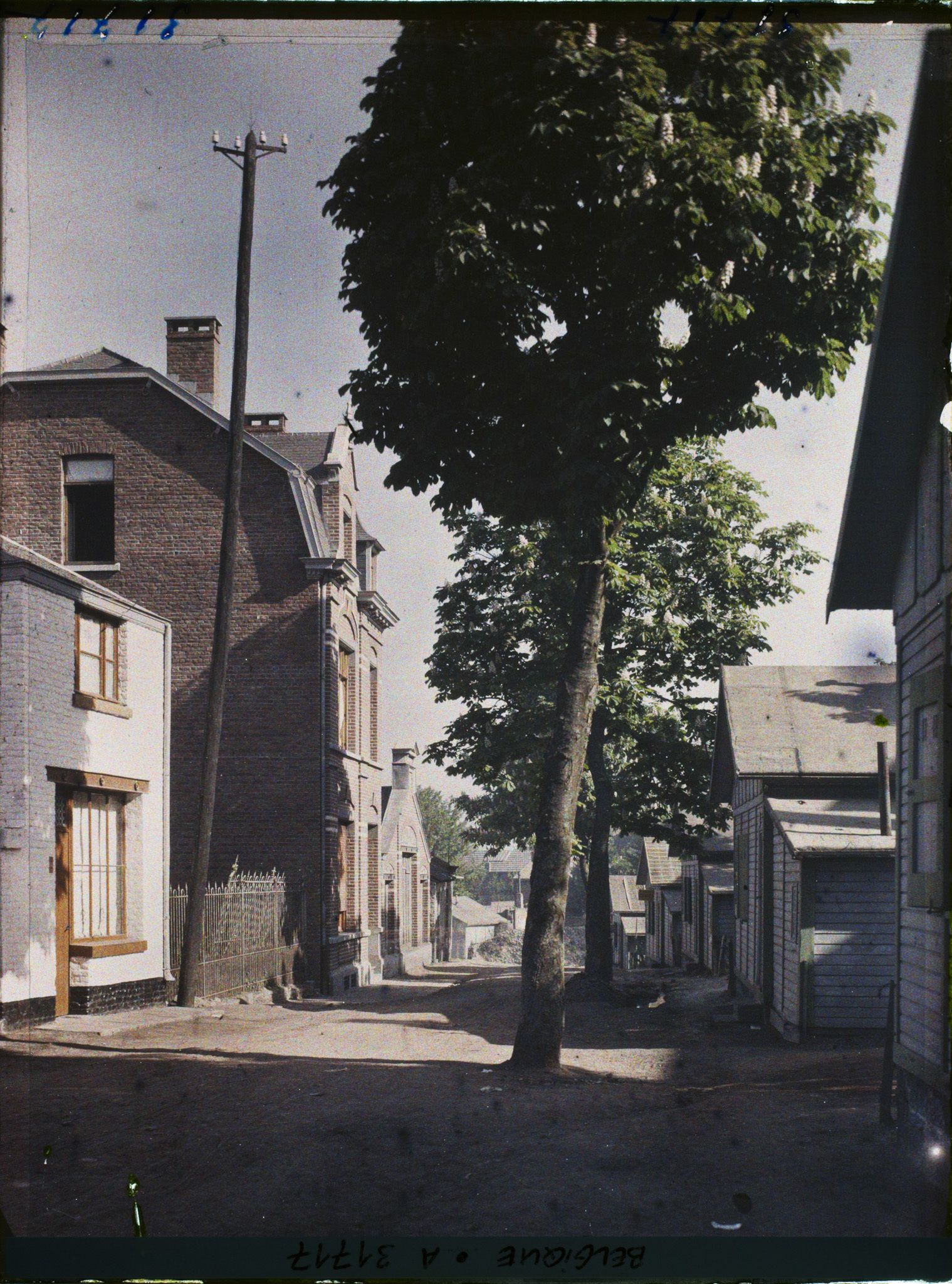 Image représentant Belgique, Visé, Remparts des Arbalétriers