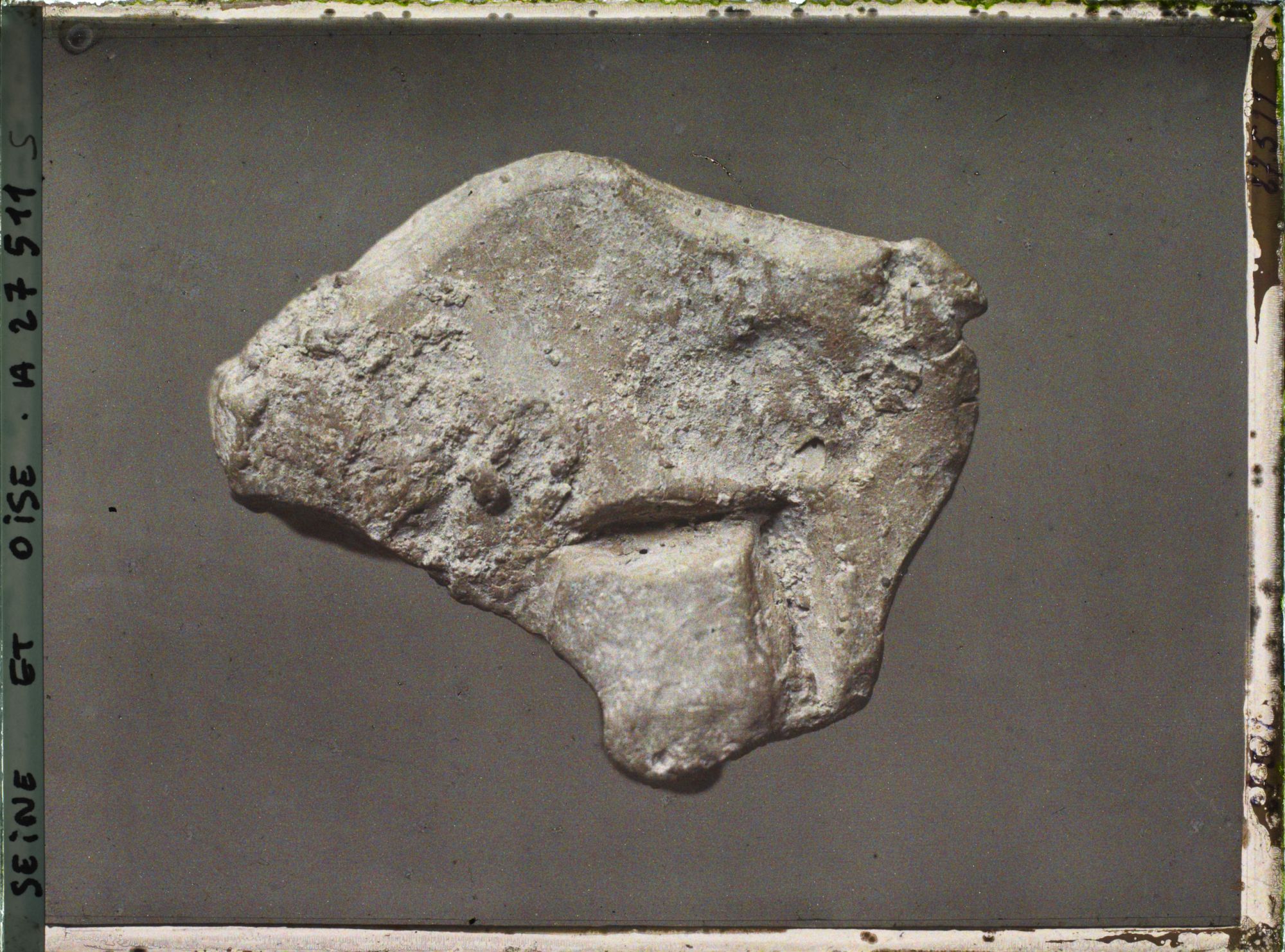 Image représentant France, St Germain-en-Laye, Bison de la Grotte du Tuc d'Audoubert 58030, Donné par le Comte Bégouen