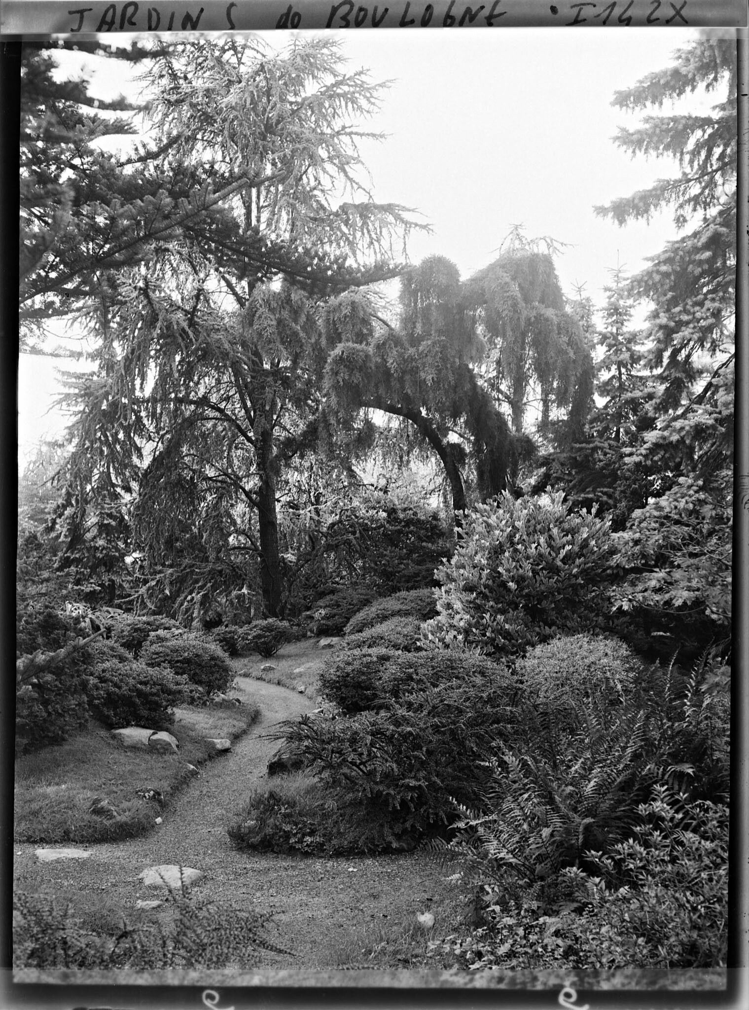 Image représentant Croisement d'allées du " sanctuaire japonais ", situé à la sortie du " village japonais "