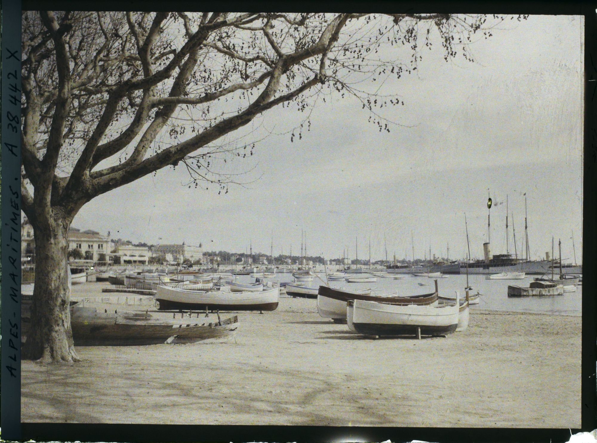 Image représentant Les barques dans le port