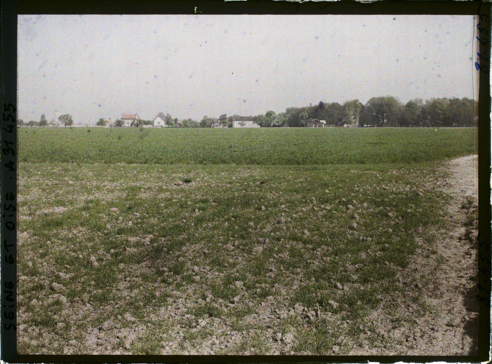 Image représentant France , Manet près Montigny, Champs de blé