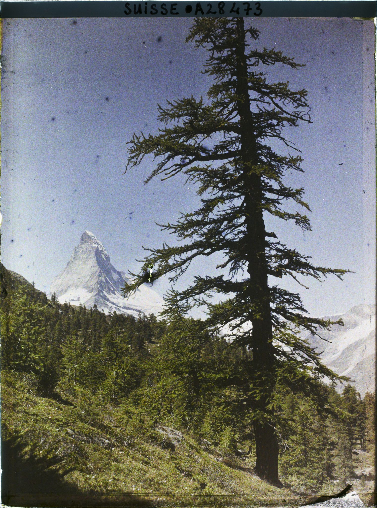 Image représentant Le Cervin depuis le hameau de Findeln