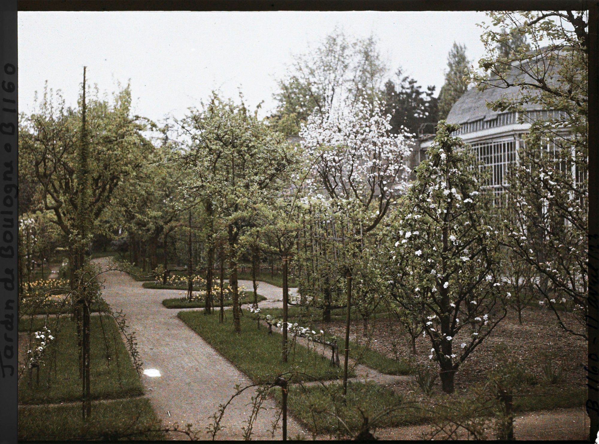 Image représentant Signes printaniers à l'est du verger-roseraie, au bord d'une allée menant à la forêt bleue