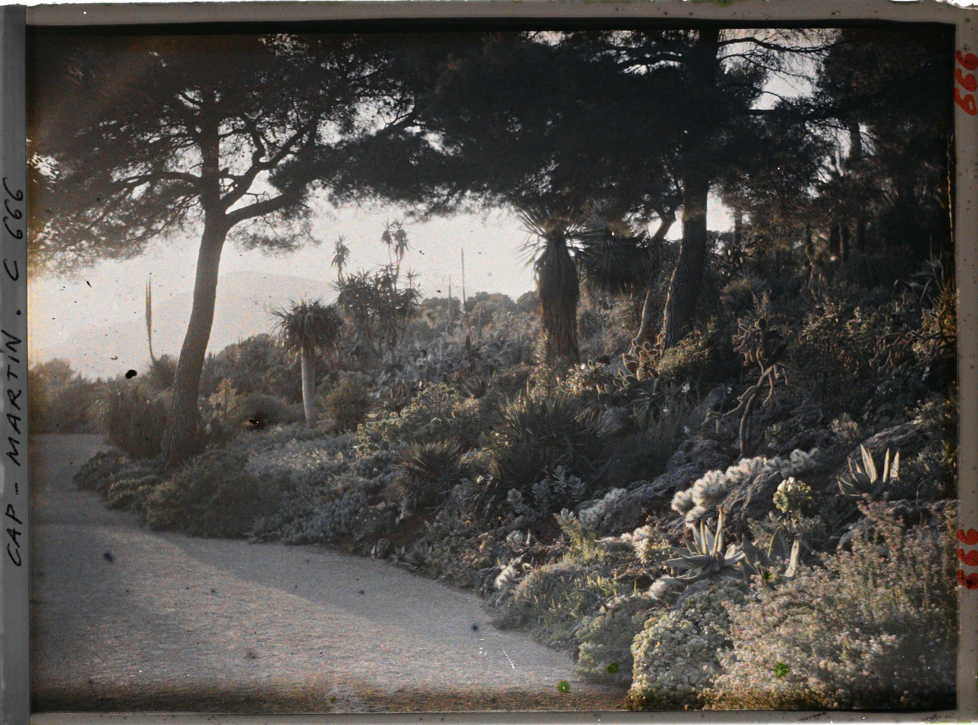 Image représentant Allée principale vue le soir