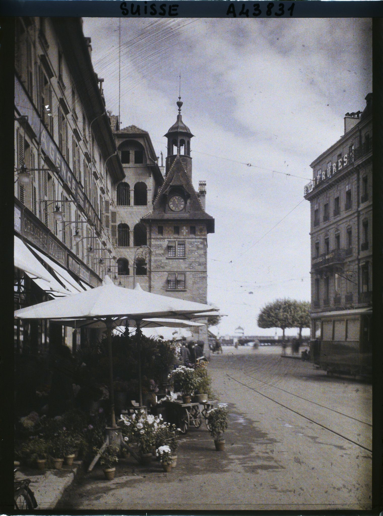 Image représentant La tour du Molard et le marché aux fleurs de la place du Molard