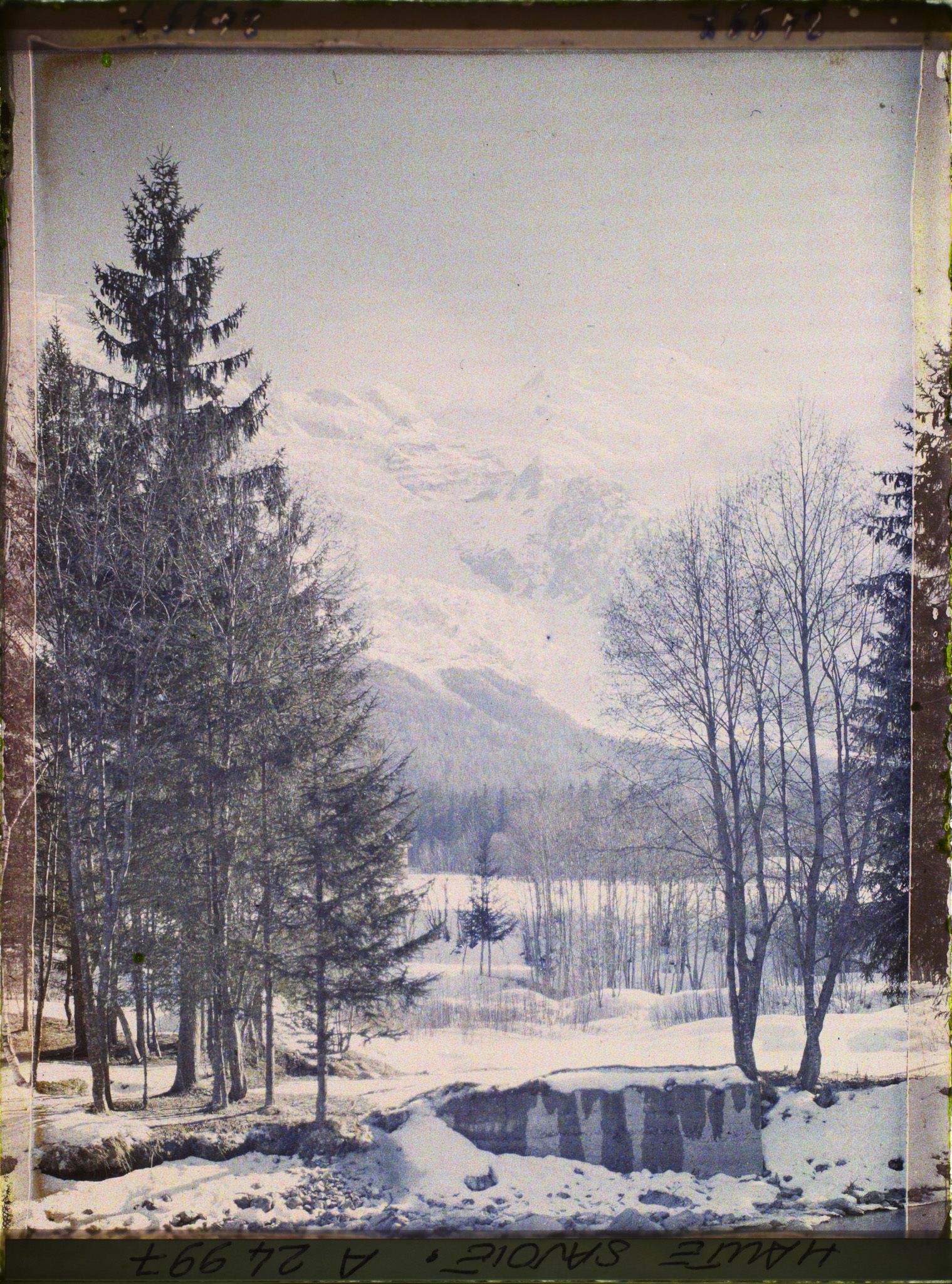 Image représentant France, Les Alpes-Vallée de Chamonix Paysage de la Vallée de Chamonix vers le Mt Blanc et le glacier des Bossons