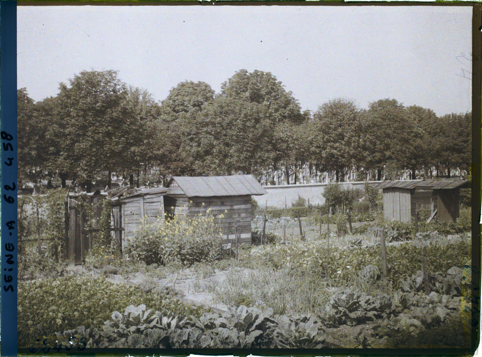 Image représentant Les jardins ouvriers à l'emplacement des anciennes fortifications porte de Clichy et le cimetière des Batignolles