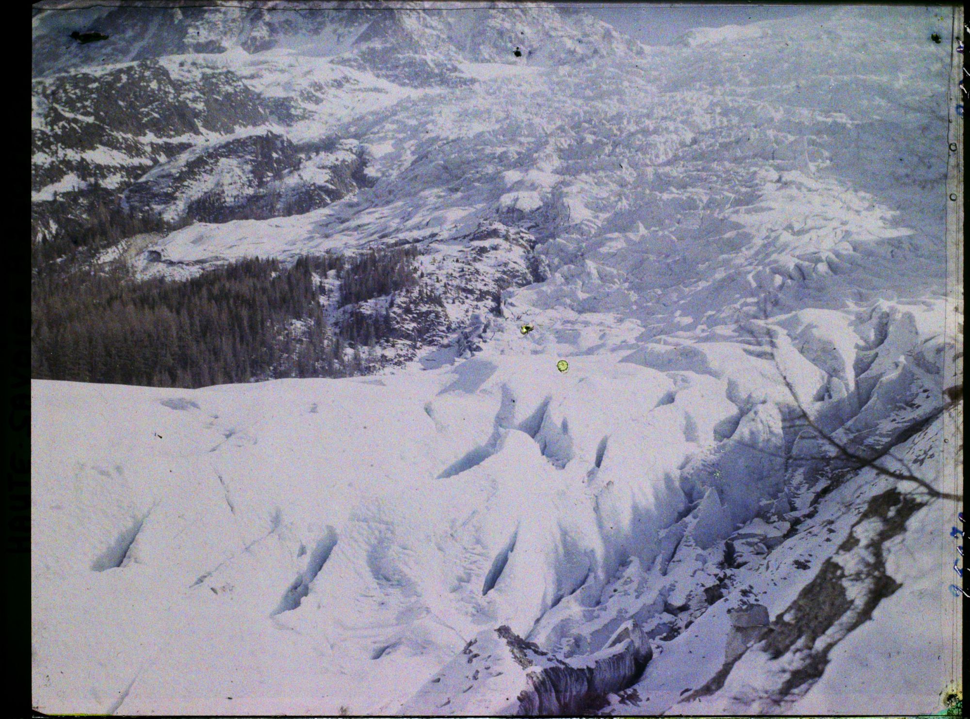 Image représentant France Les Alpes, Les Bossons, Le Glacier des Bossons et la limite de la Végétation