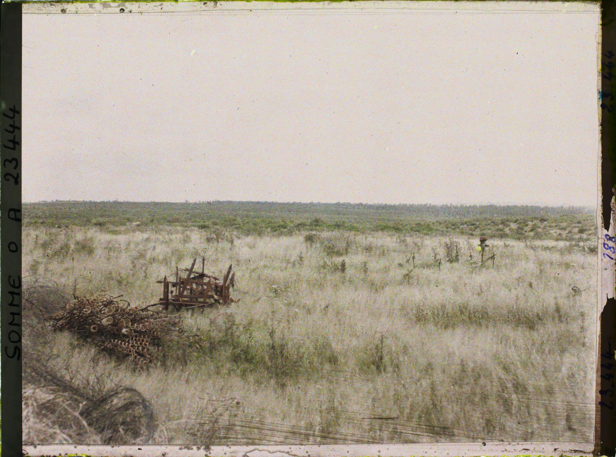 Image représentant France, Rancourt, Le bois de St Pierre Vaast au nord de Rancourt