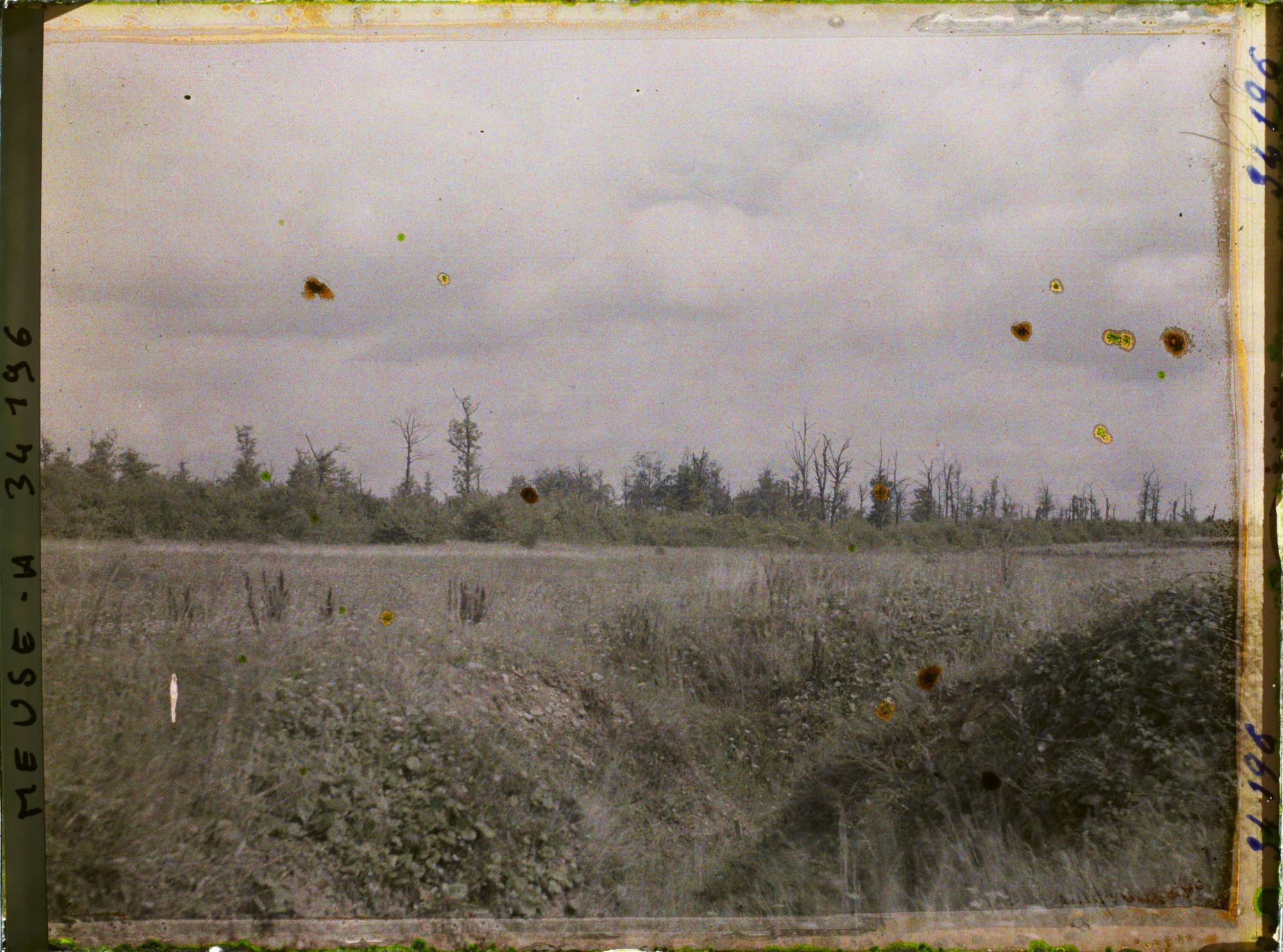 Image représentant France, Bois Brûlé, Lisière Ouest du bois de la Corvée des Prêtres