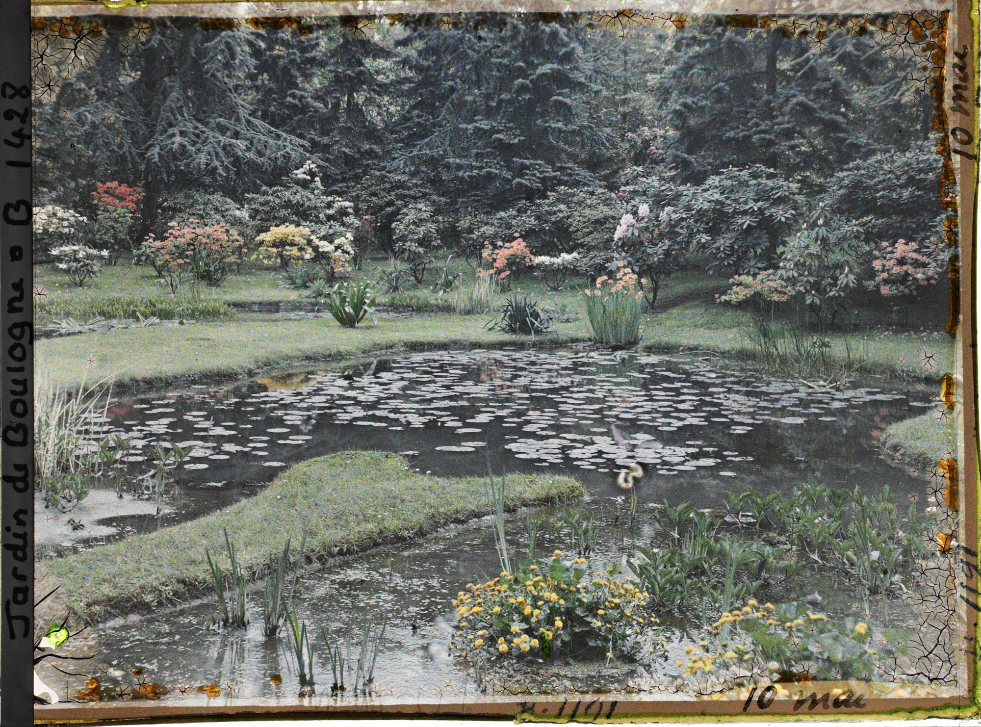 Image représentant le marais