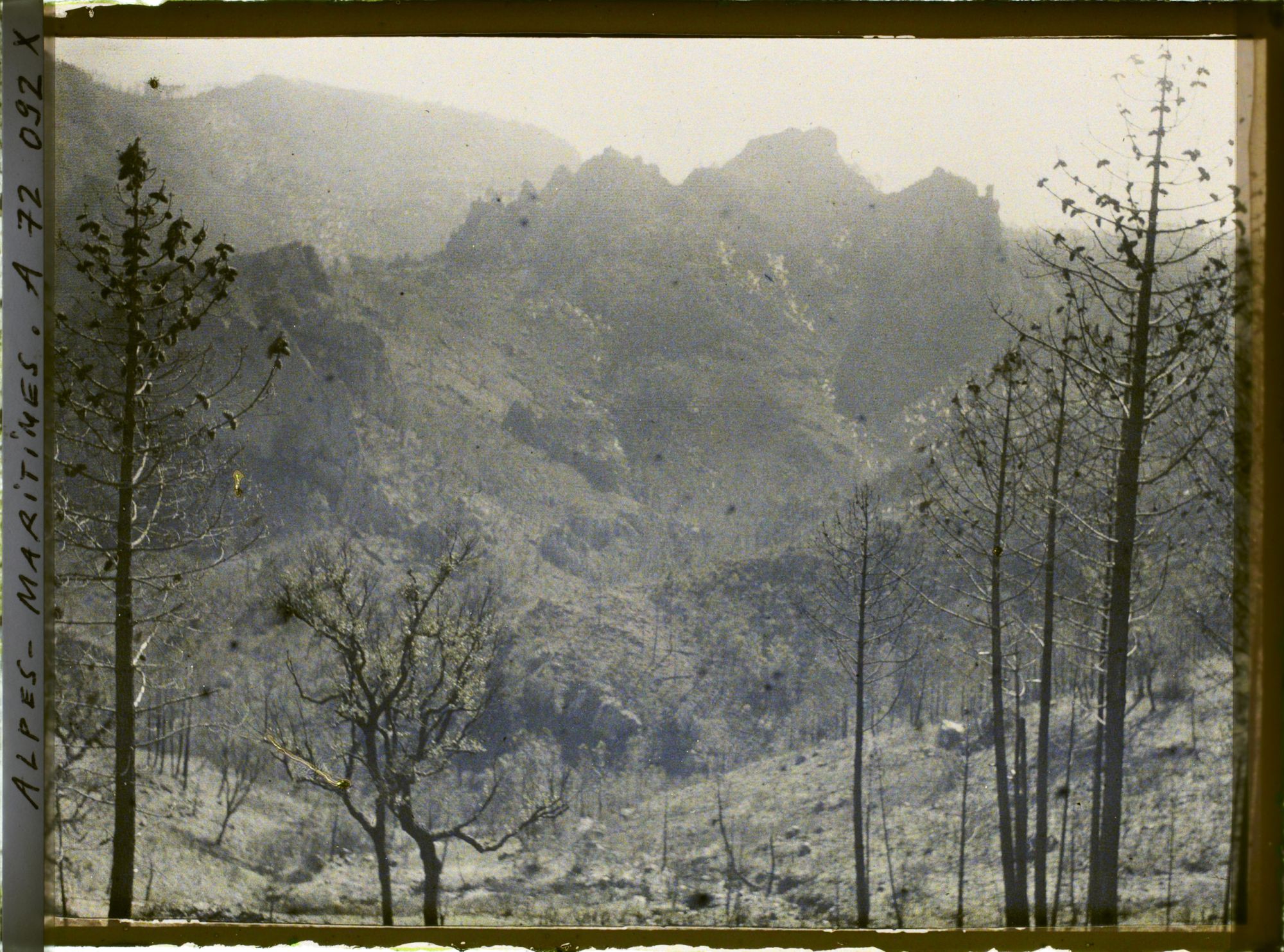 Image représentant Paysage montagneux