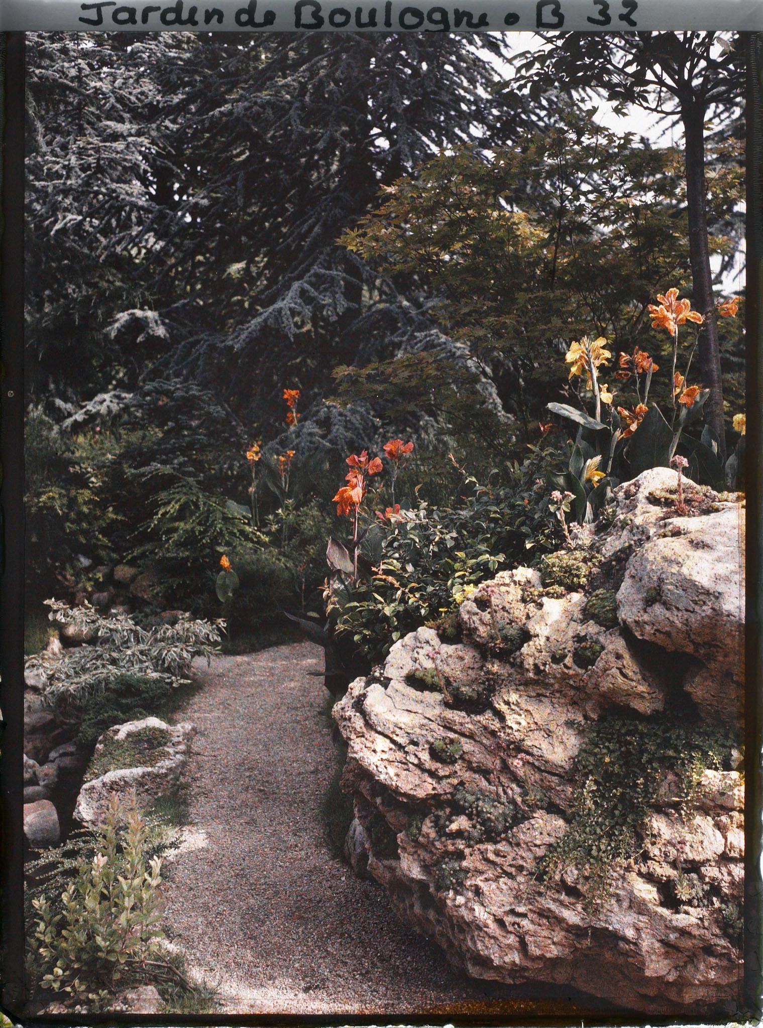 Image représentant Roches et cannas au bord d'un chemin du " sanctuaire japonais " longeant un cours d'eau