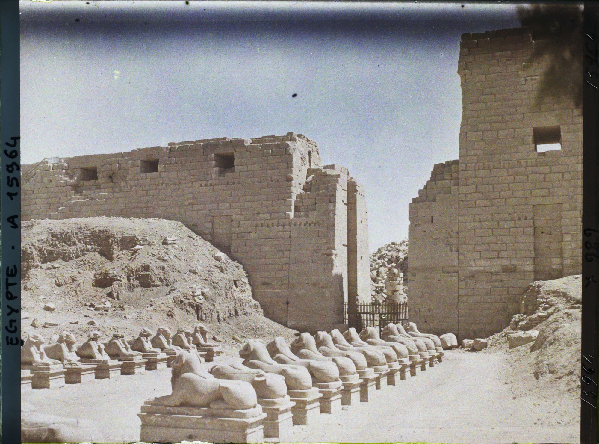 Image représentant Allée de béliers menant au temple d'Amon-Râ