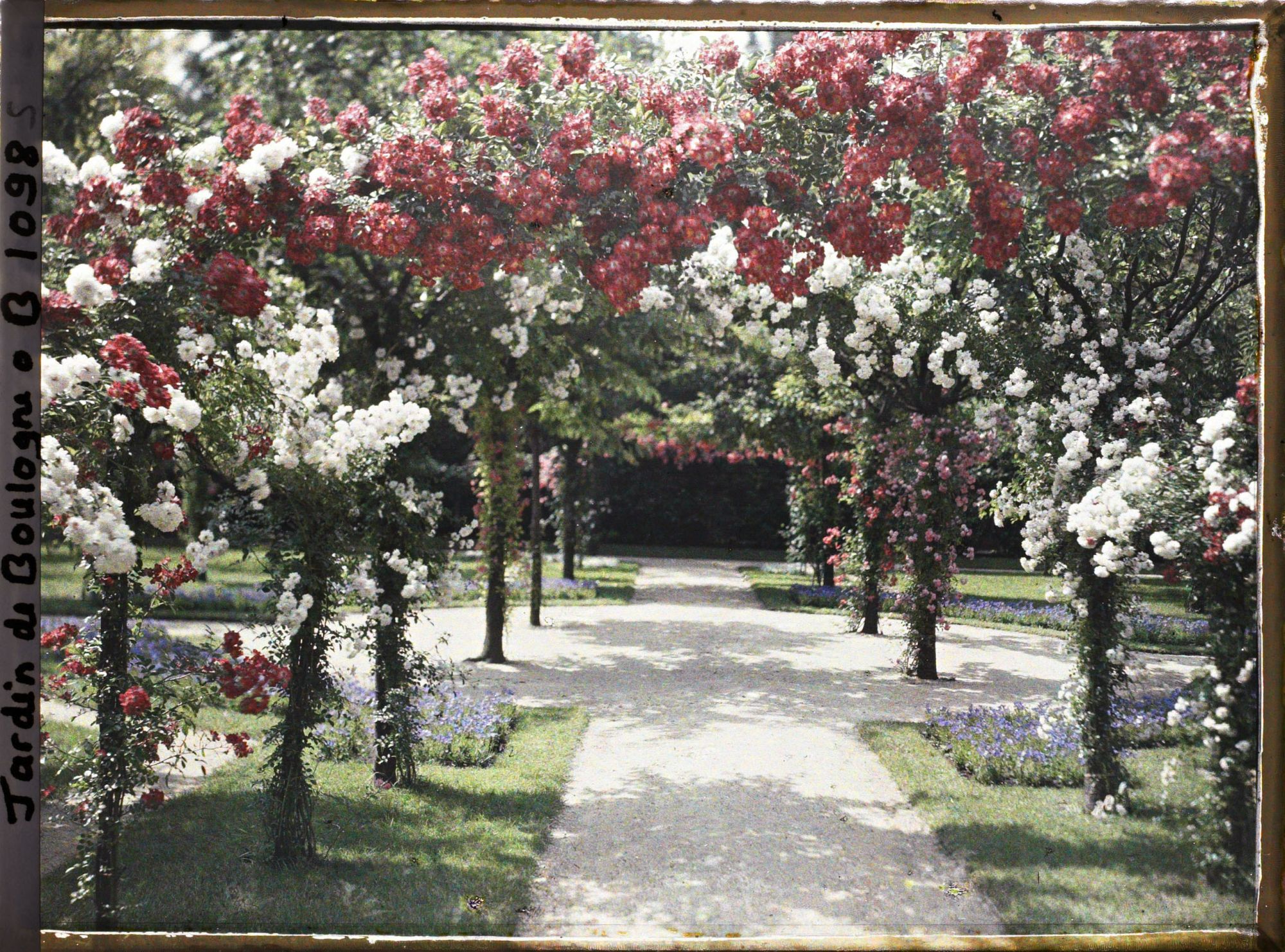 Image représentant Axe central du verger-roseraie vu en direction du rond-point situé à proximité de la dépendance