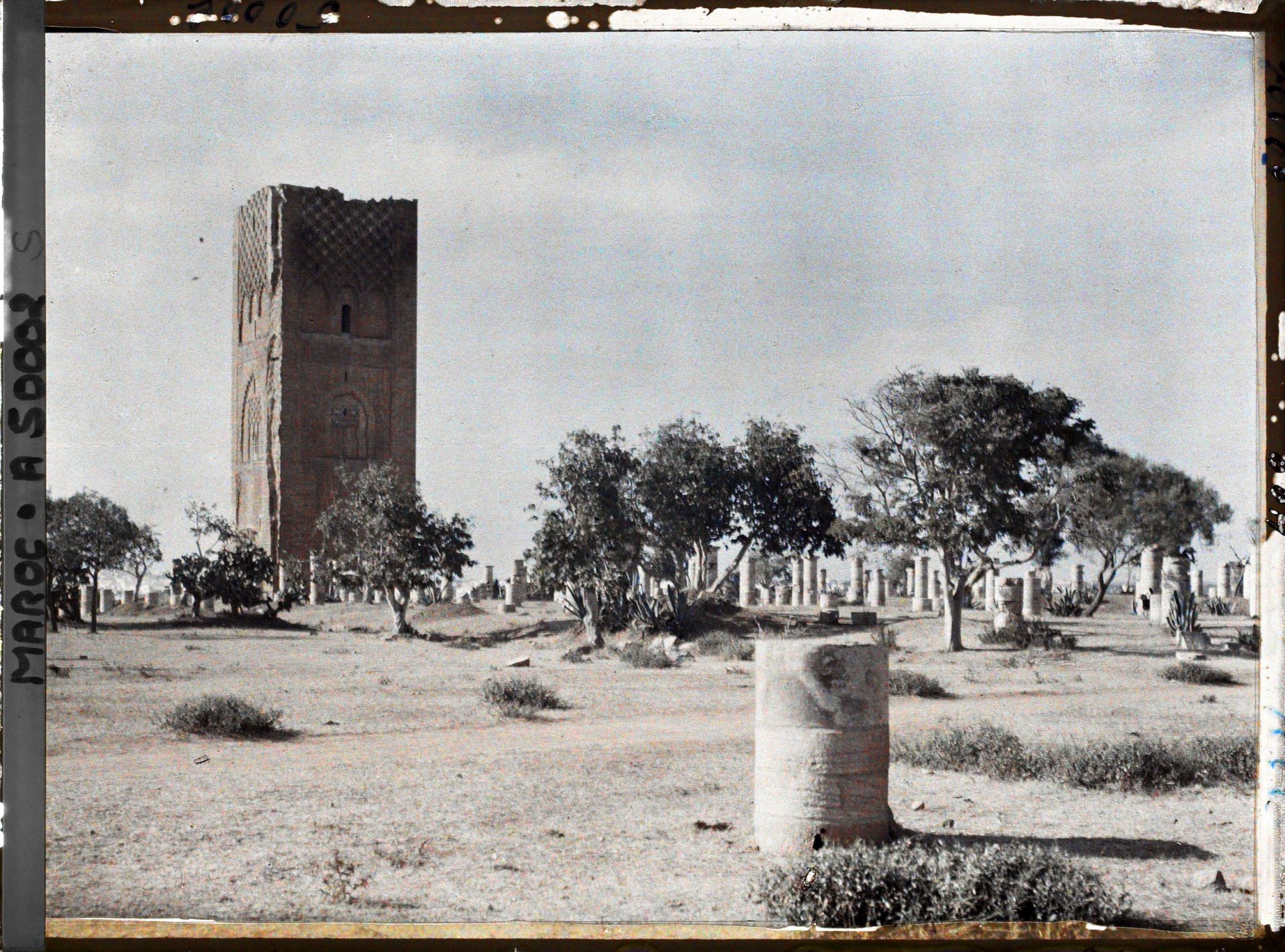 Image représentant La tour Hassan