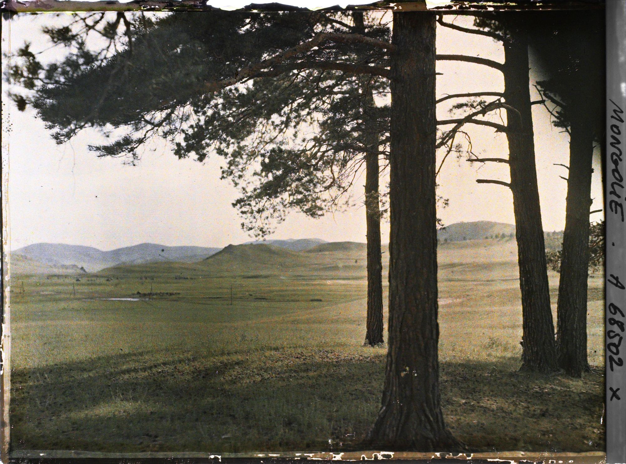 Image représentant Paysage de steppe