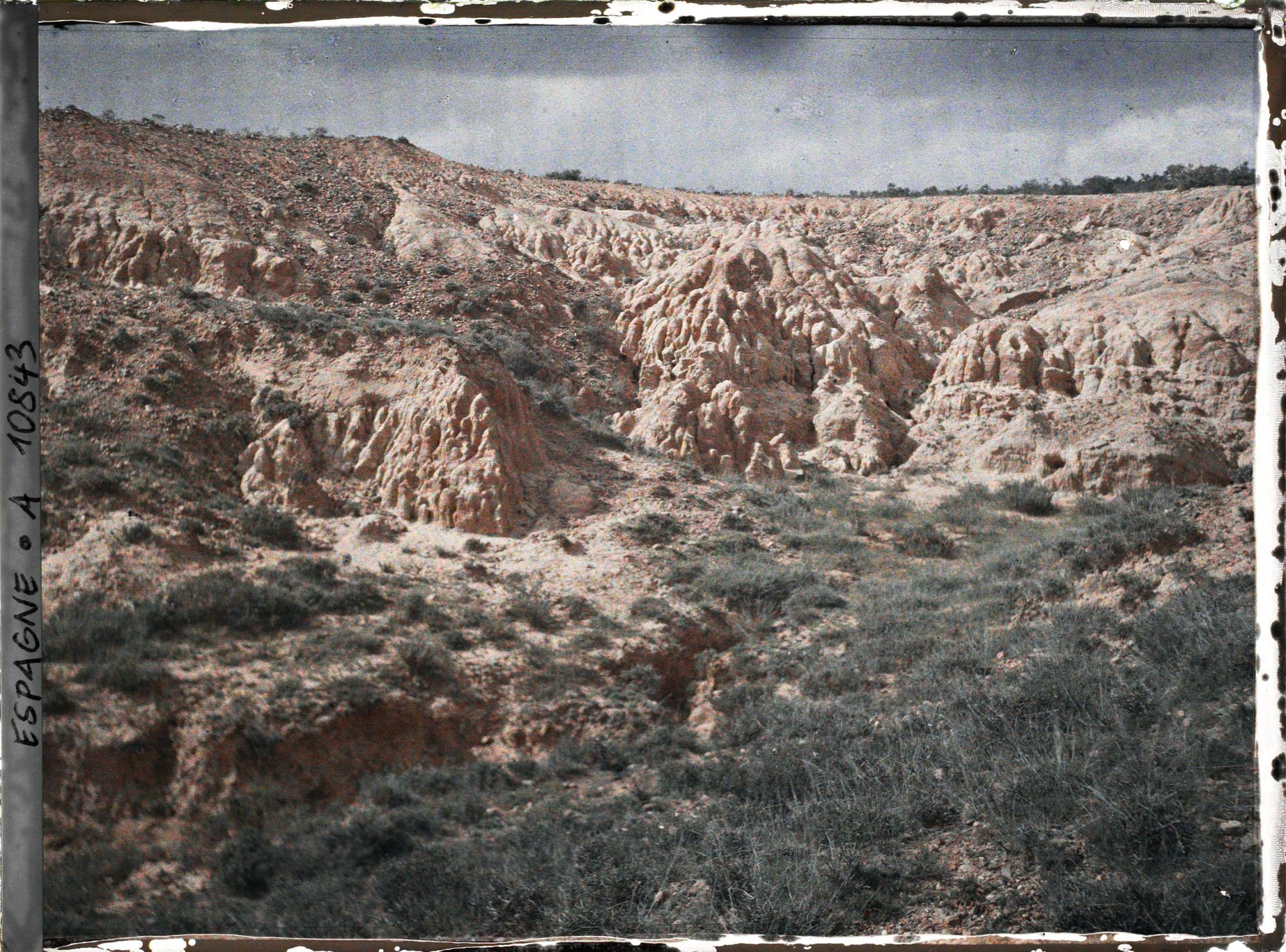 Image représentant Espagne, de Léon à Astorga, Autres ravinements, avec petite Végétation de Thym