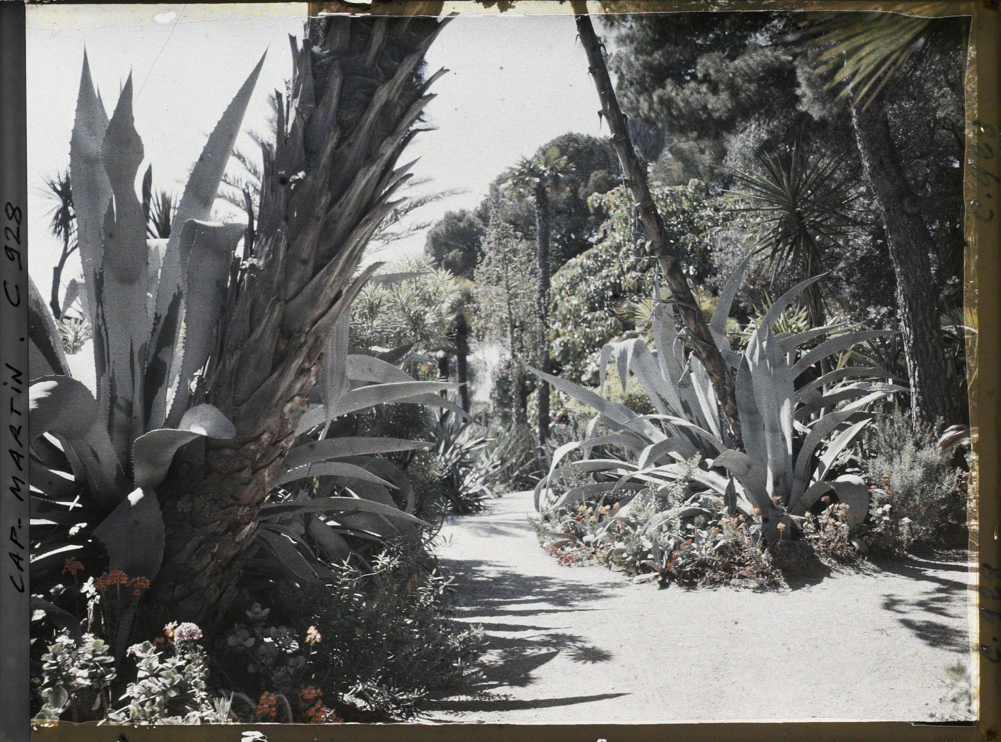 Image représentant Le Jardin