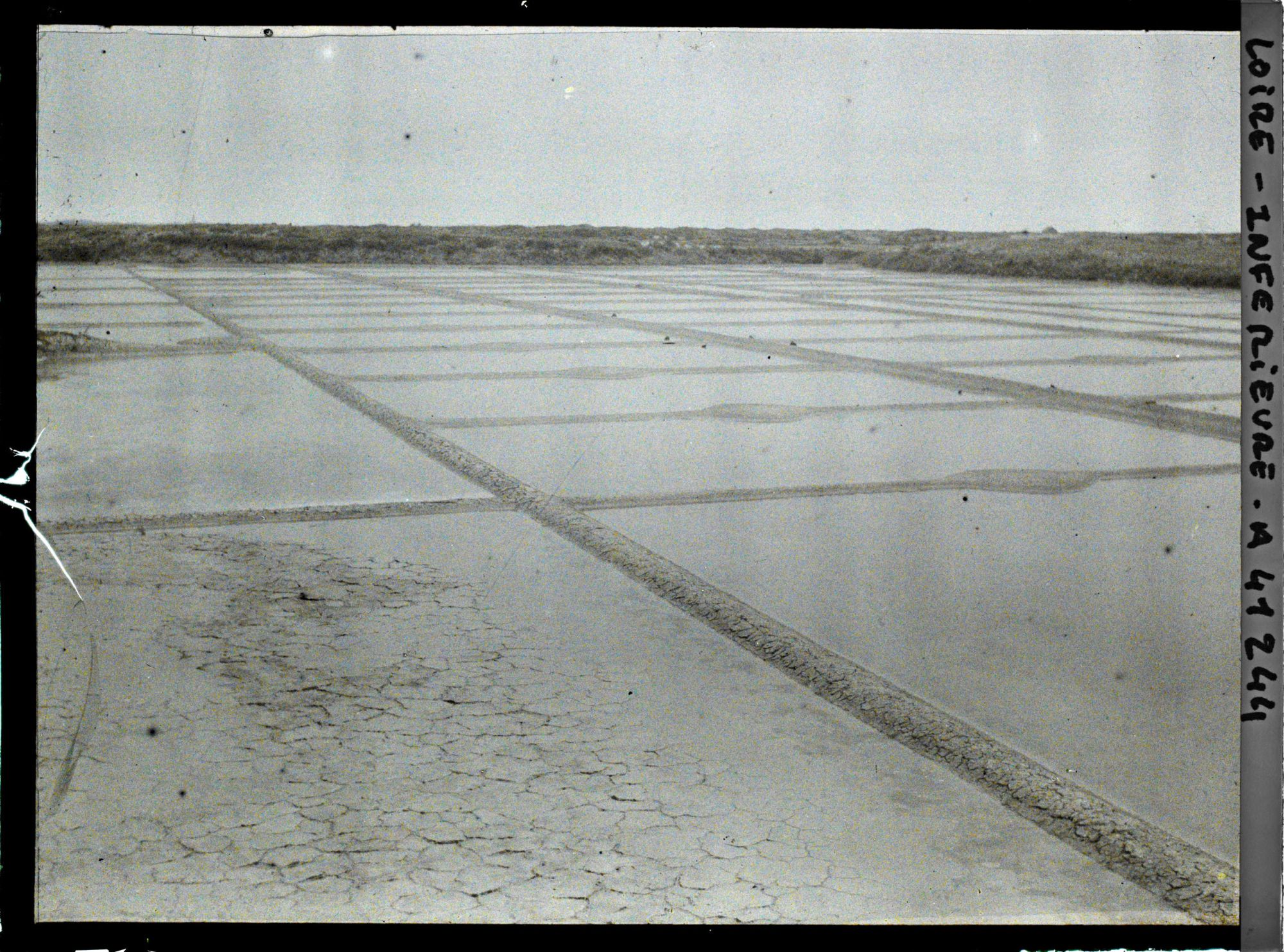 Image représentant Les marais salants